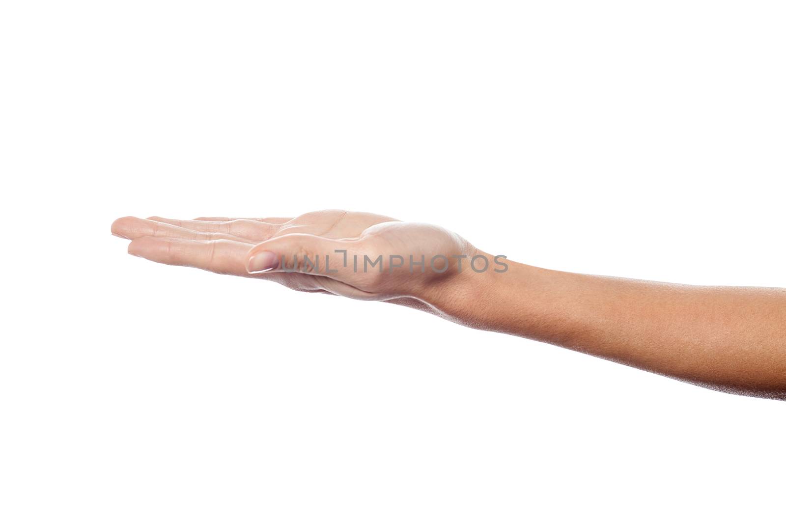 Open palm hand gesture of male hand by stockyimages