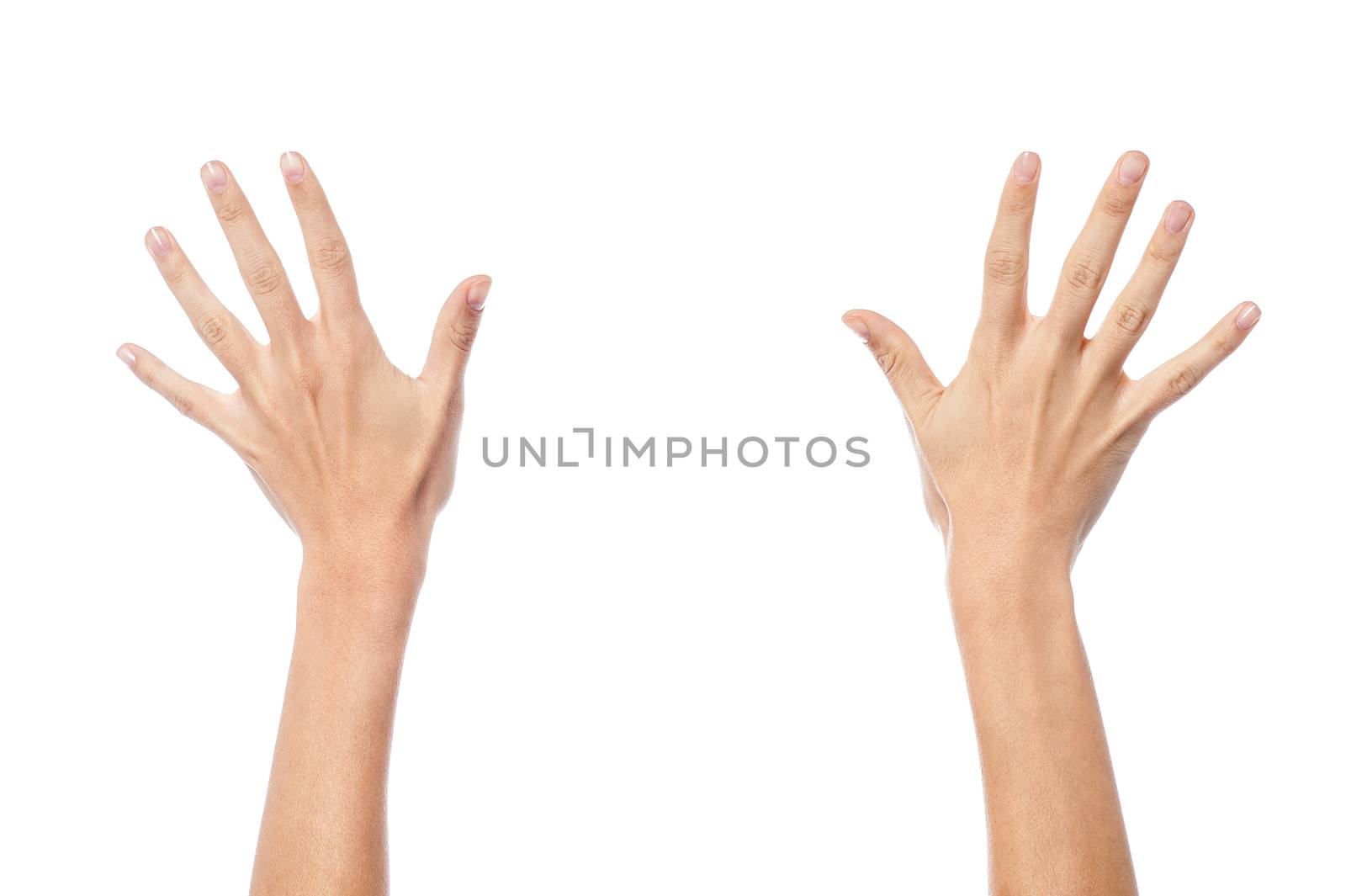 Woman hands isolated on white background by stockyimages