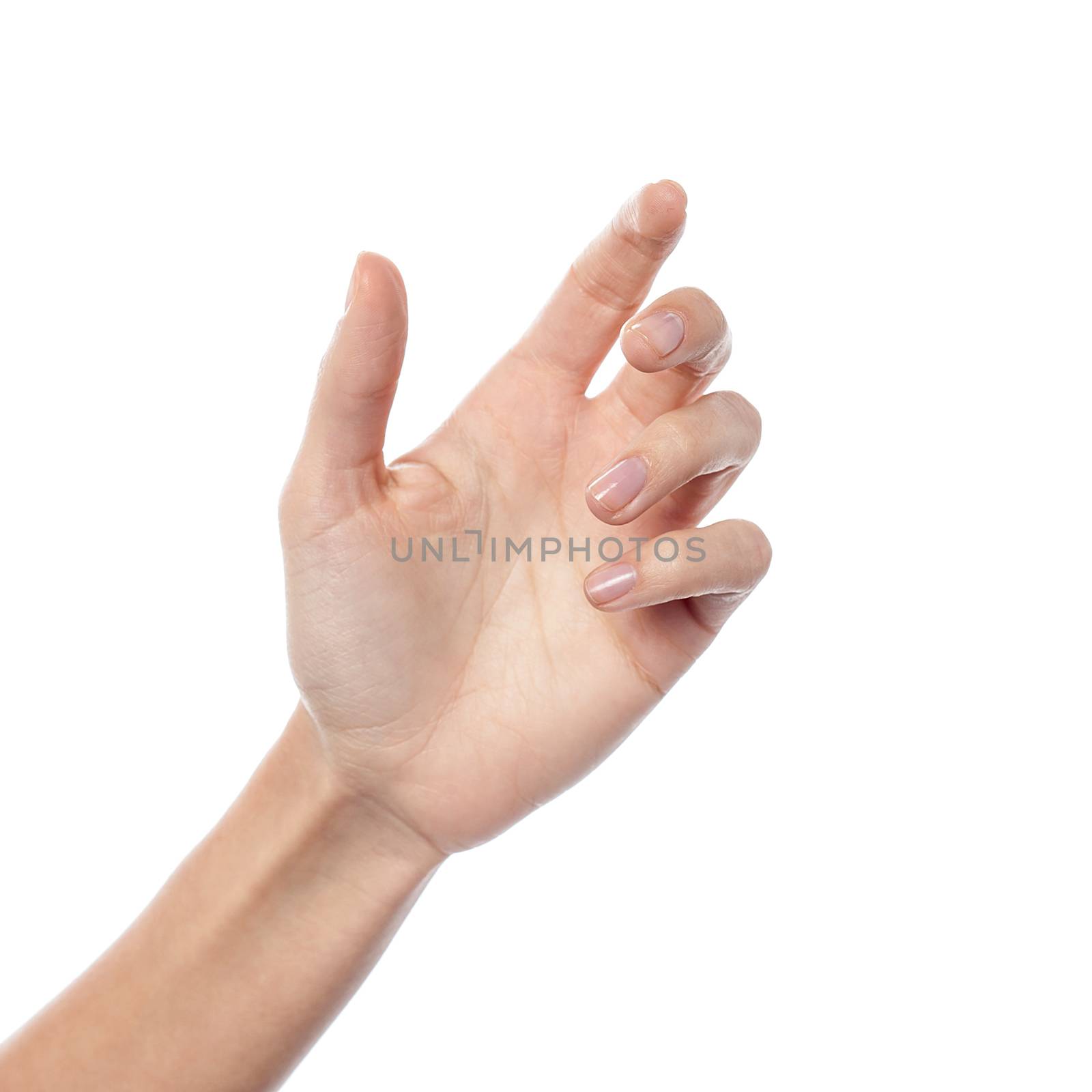 Female hand gesturing a hold by stockyimages