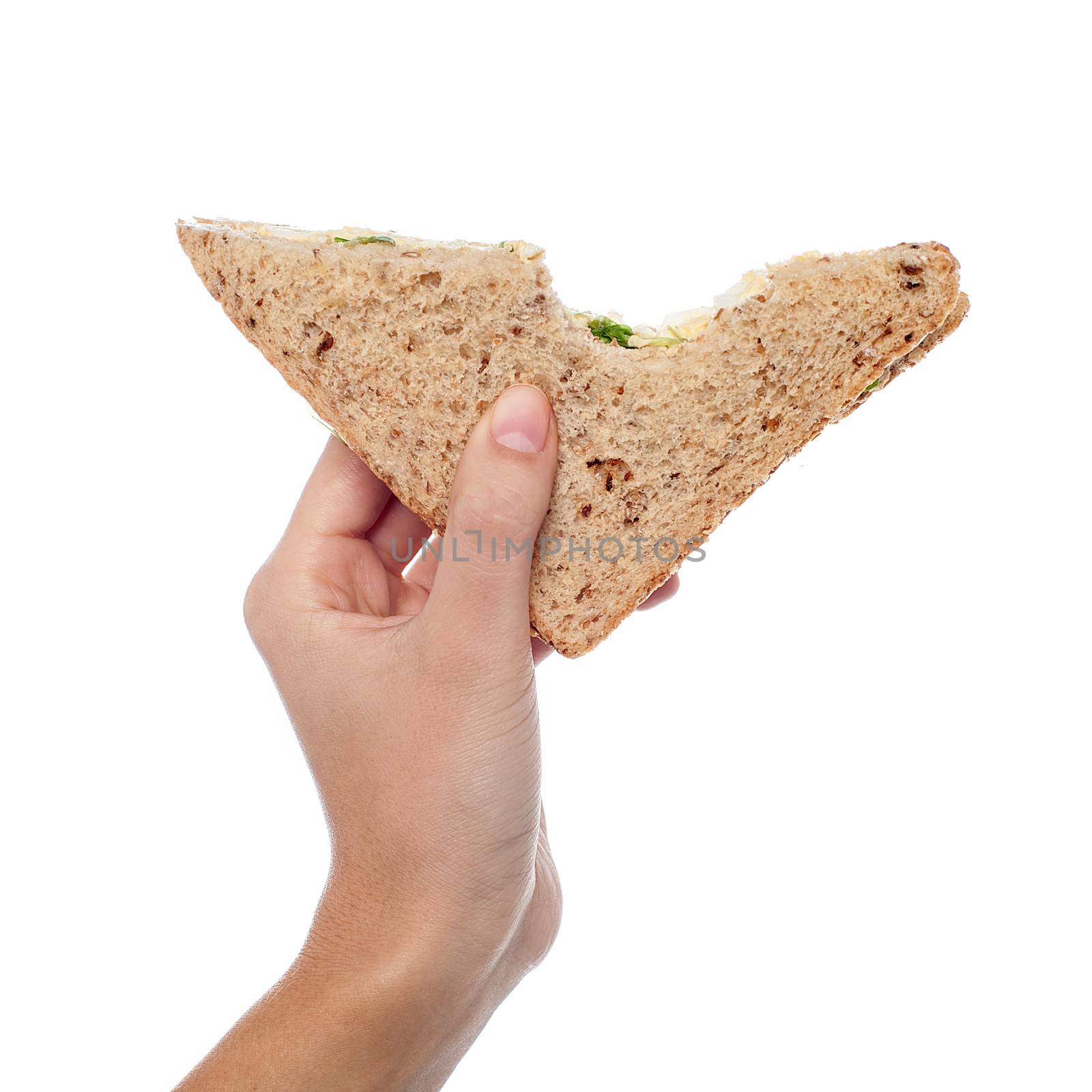 Female hand holding bitten sandwich isolated on white