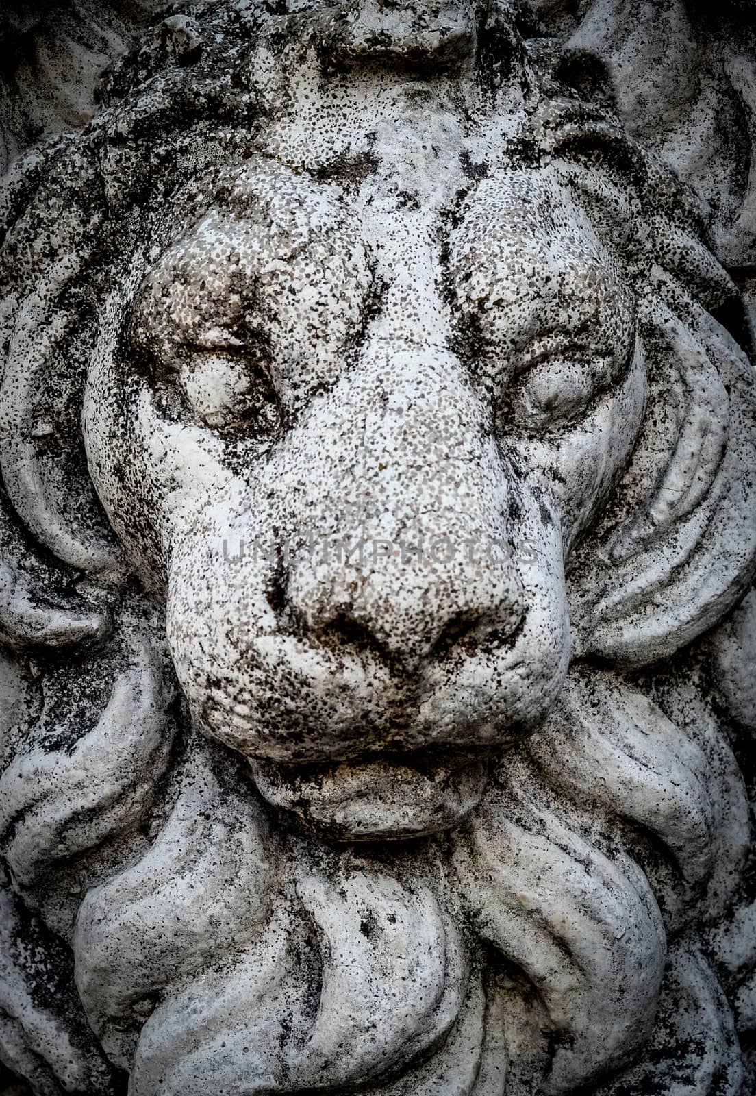 Old Statue Of A Lion In Stone