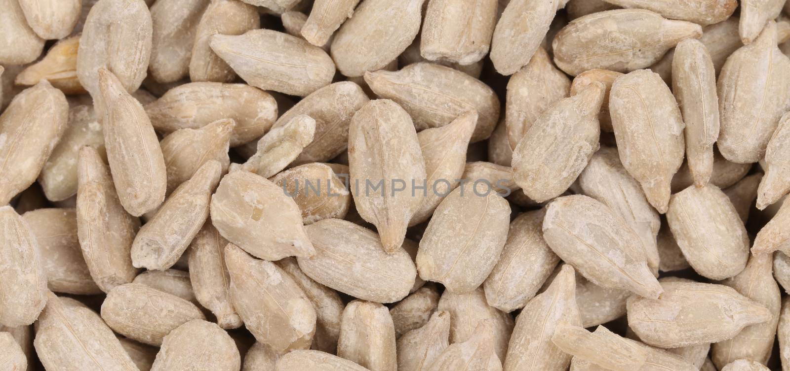 Background of sunflower seeds. Whole background. White seeds.