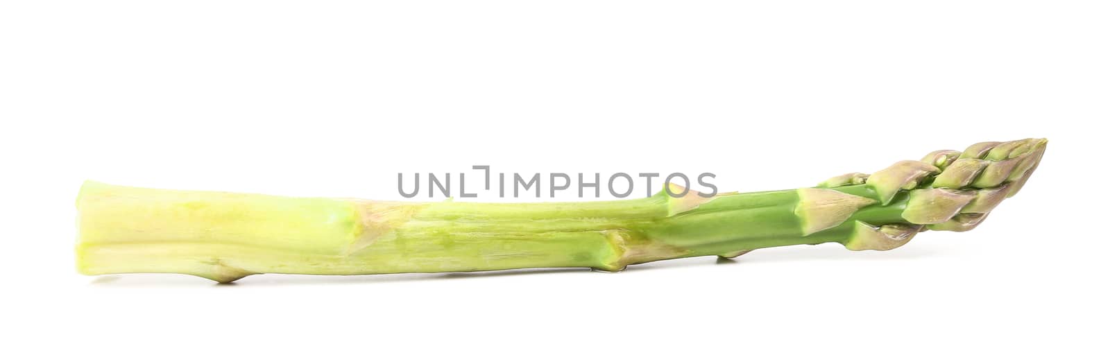 Fresh asparagus spear. Isolated on a white background.