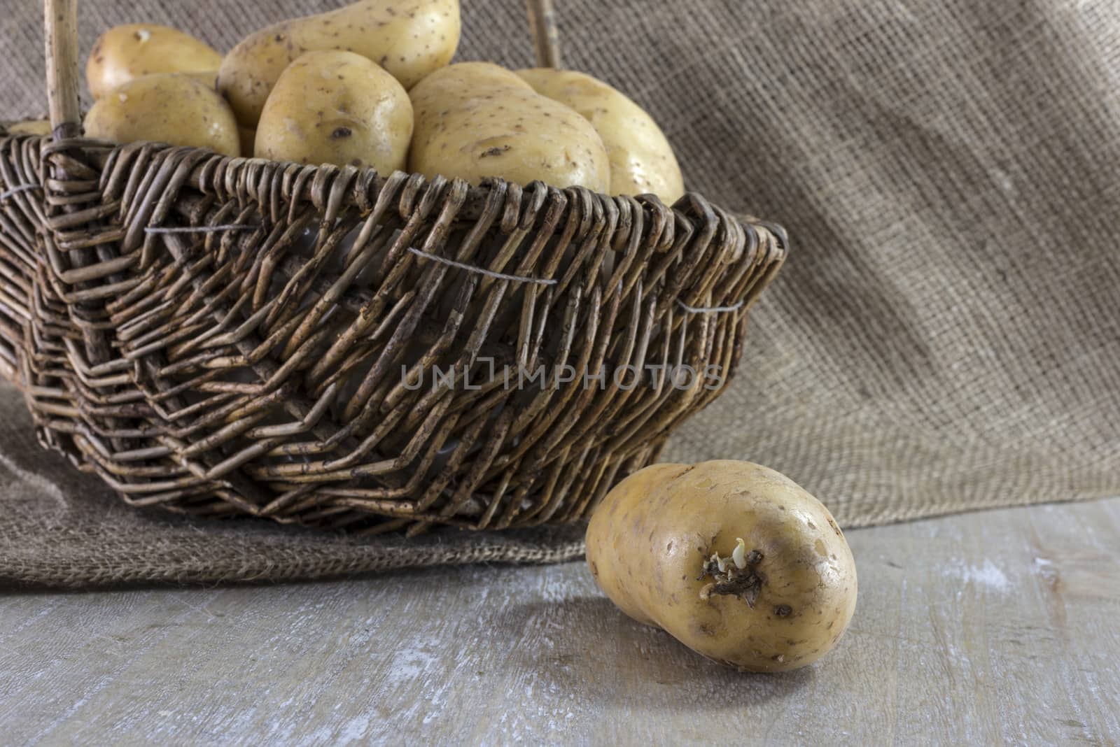 basket with potatoes  and jute background