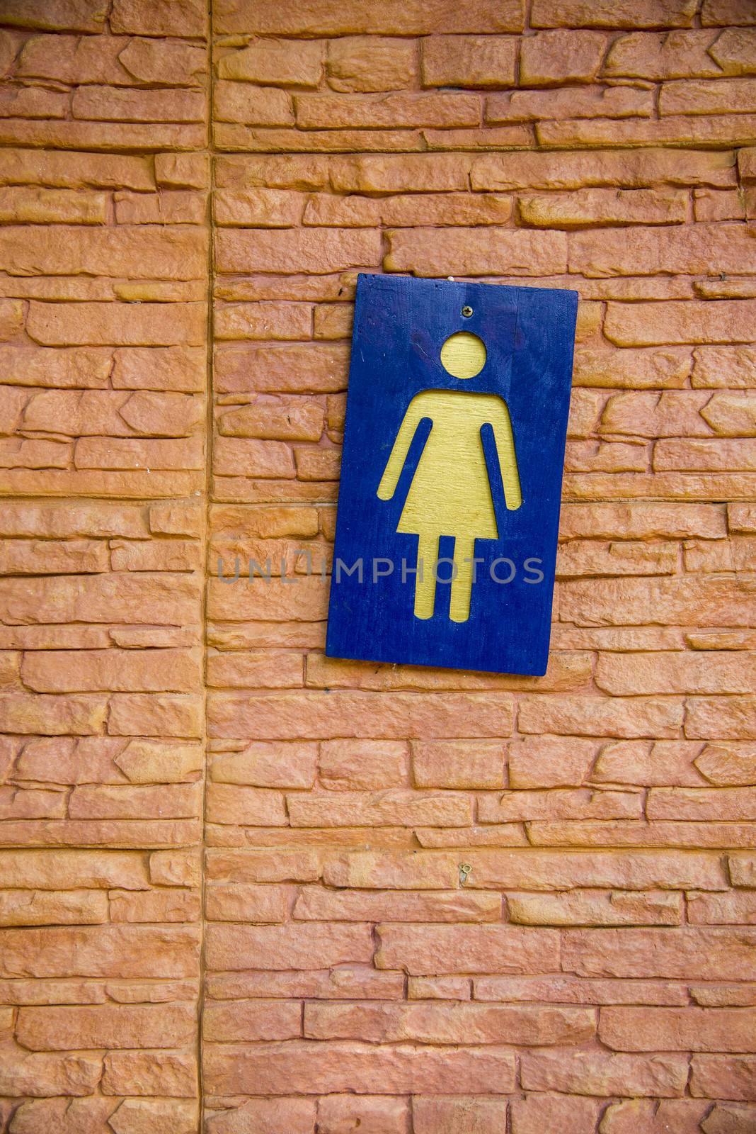 Lady toilet sign on the wall2