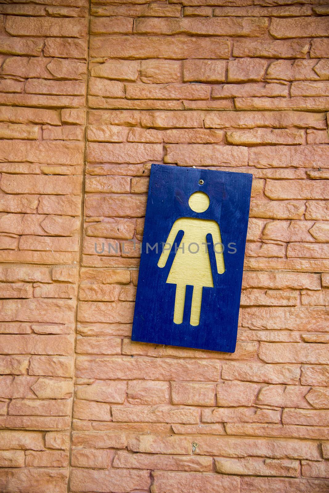 Lady toilet sign on the wall1 by gjeerawut