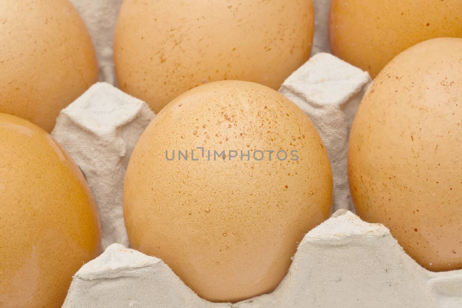 Brown eggs in a carton package closeup