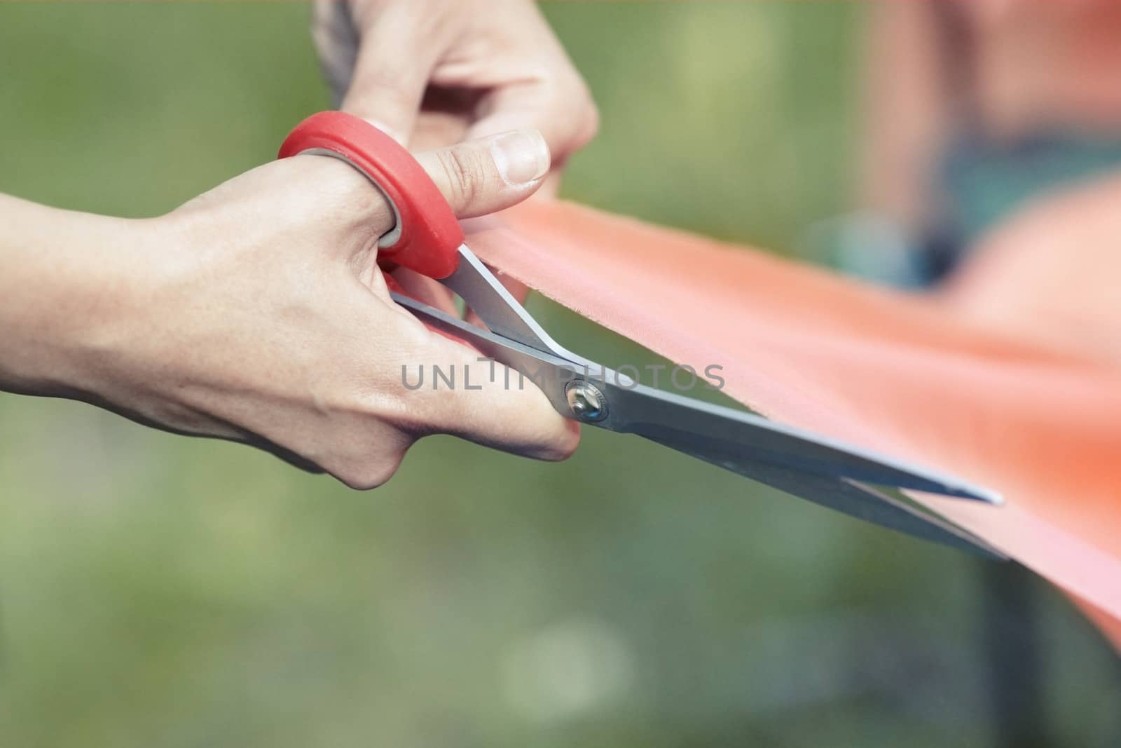 Hands of female tailor cutting red ribbon. Close-up view