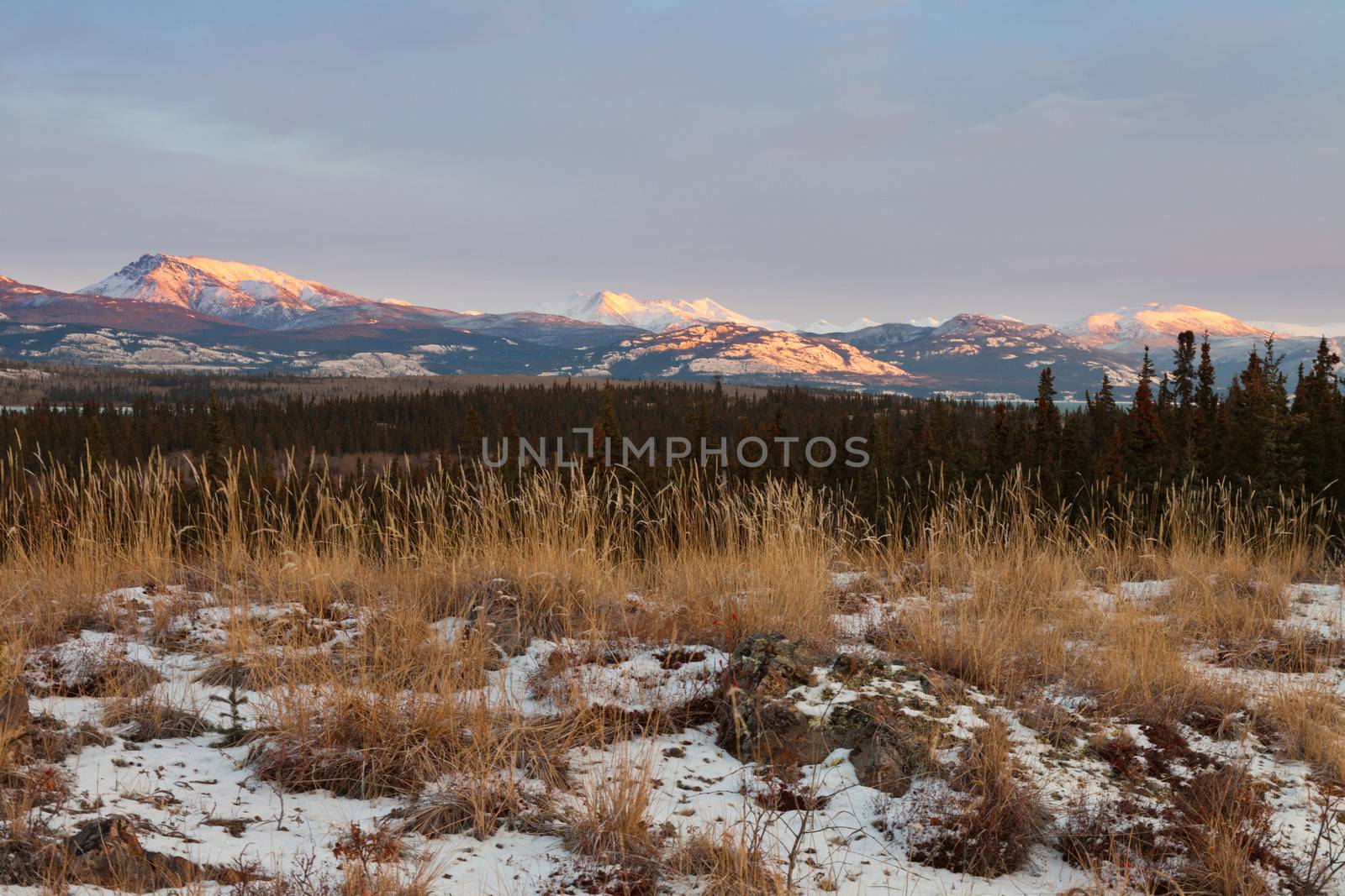 Early winter sunset mountains boreal forest taiga wilderness landscape of the Yukon Territory, Canada