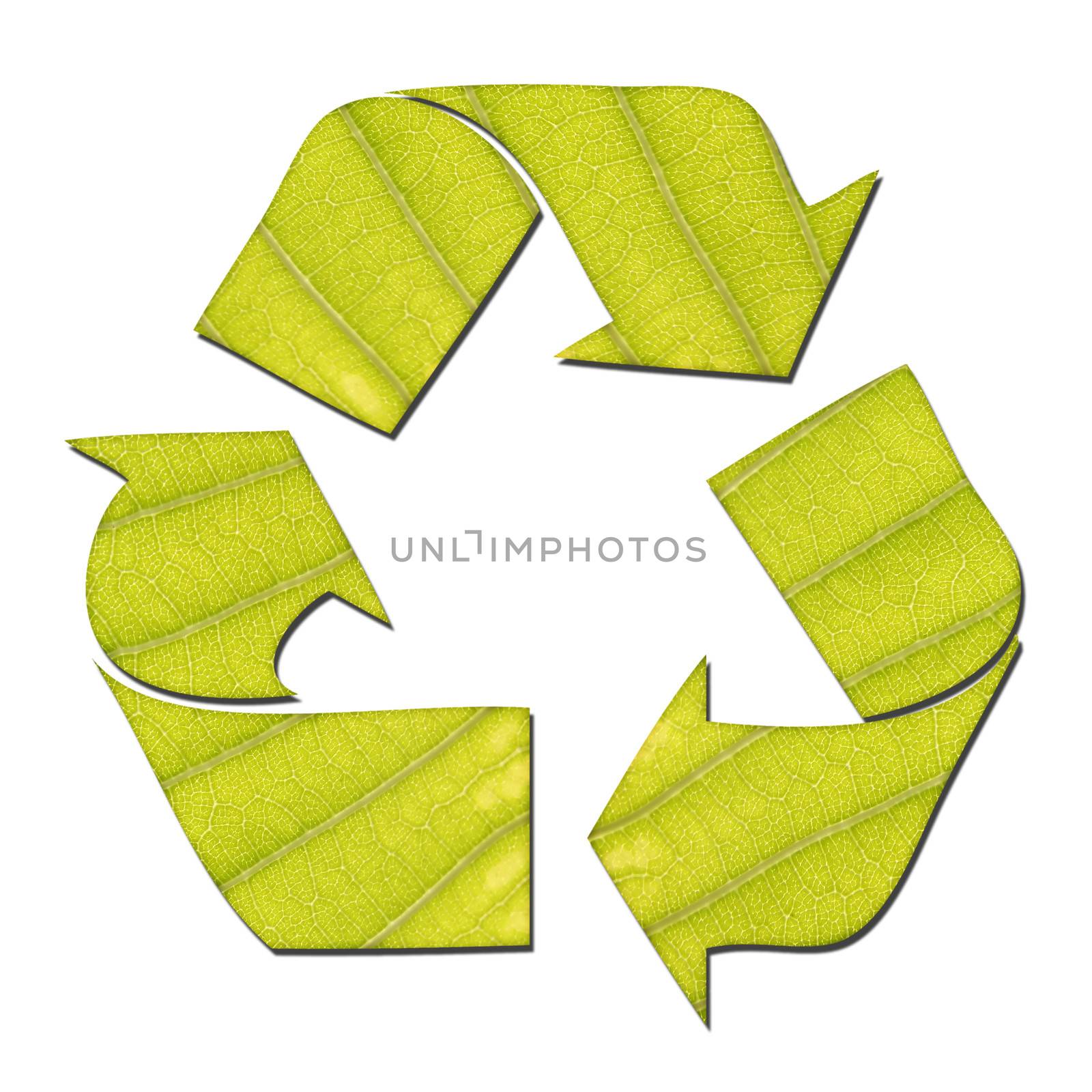 recycle sign made from green leaf isolated on white
