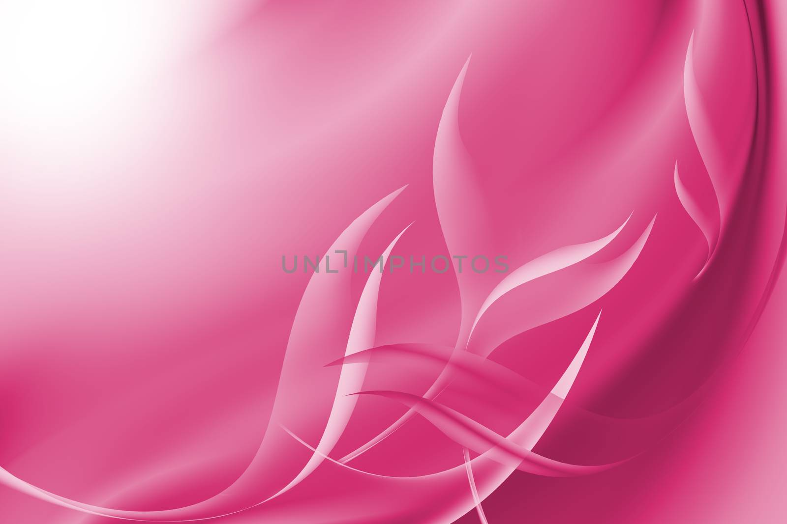 Pink abstract curve background