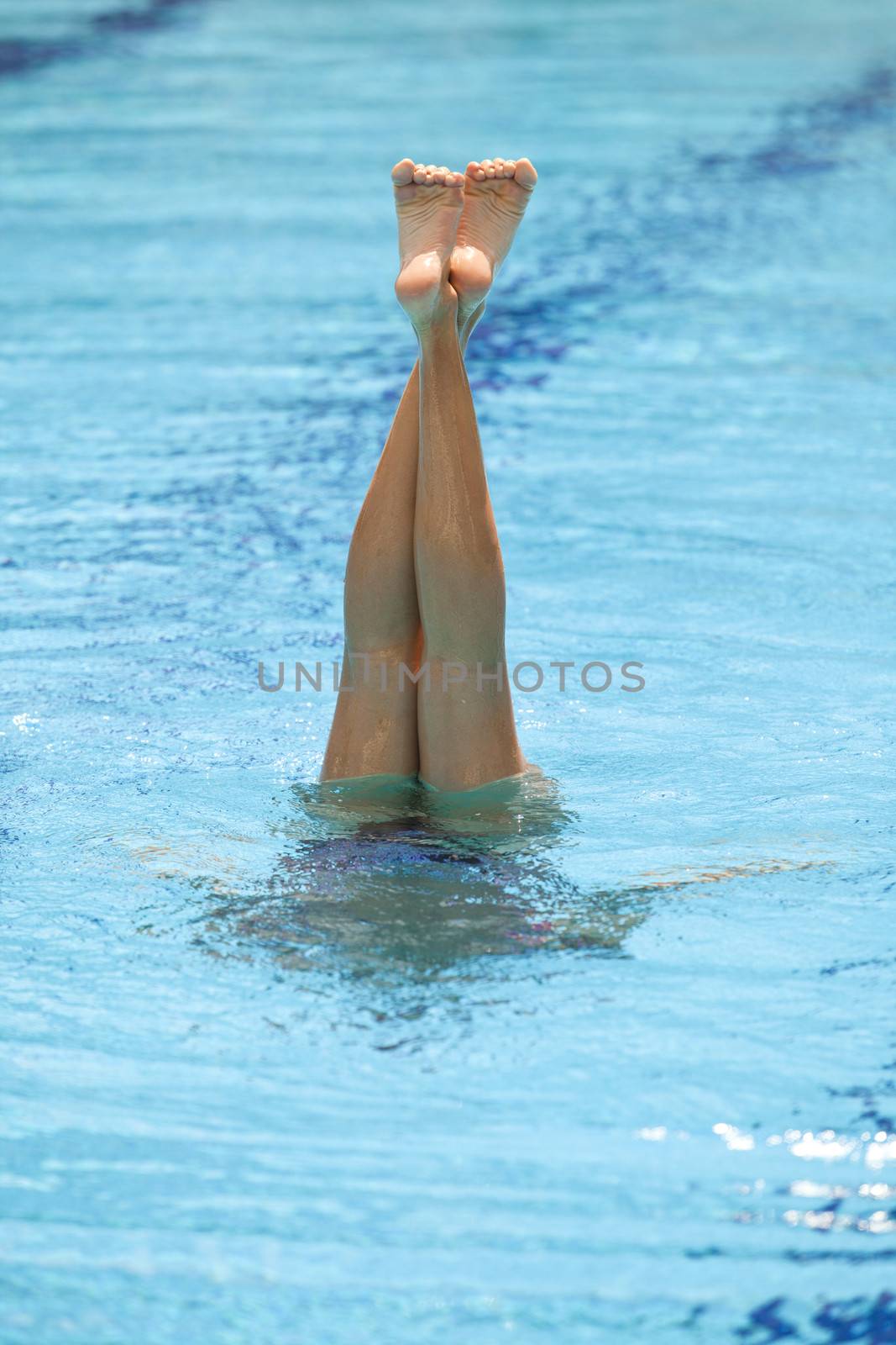 Synchronized swimmers legs point up out of the water in action