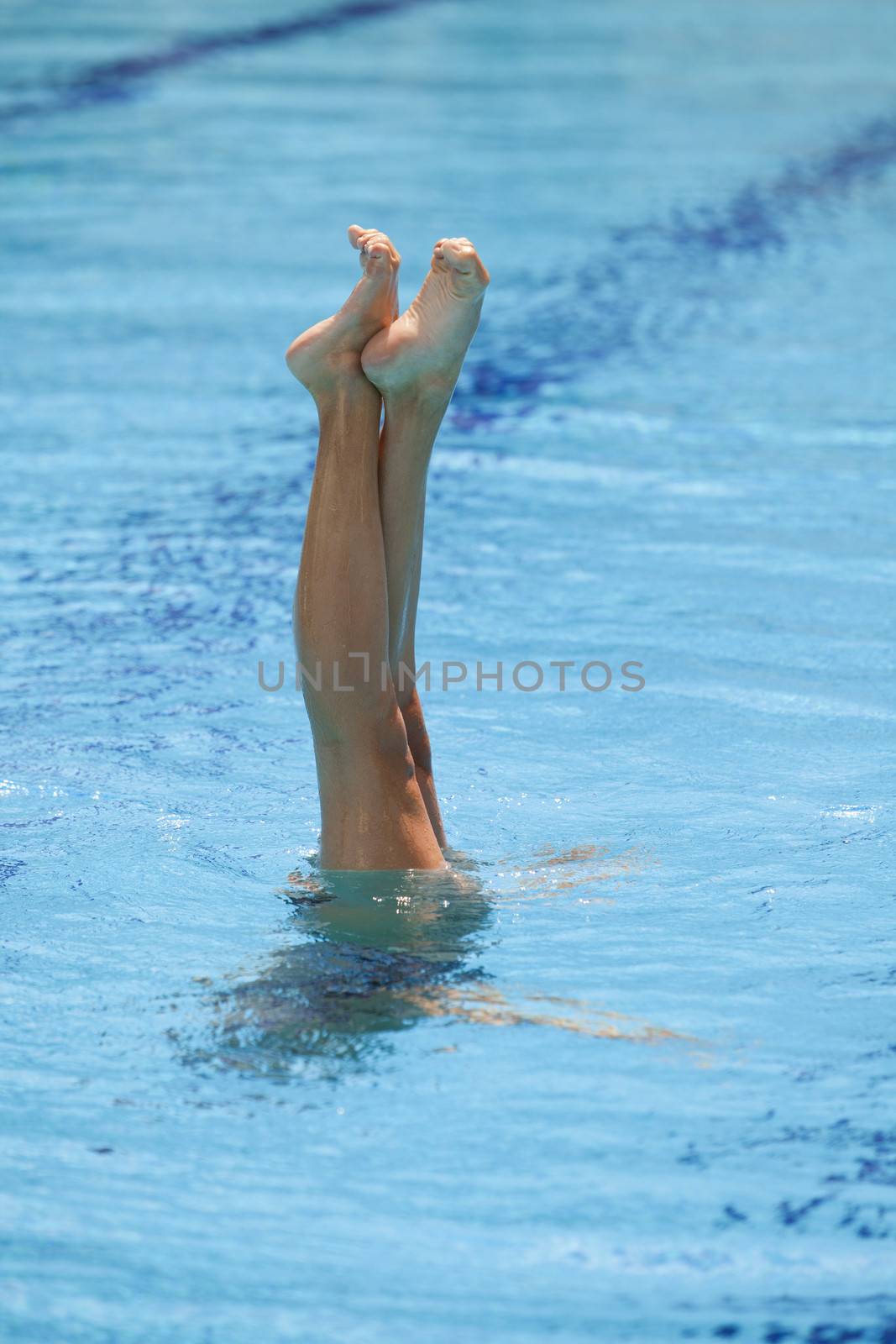 Synchronized swimmers legs point up out of the water in action