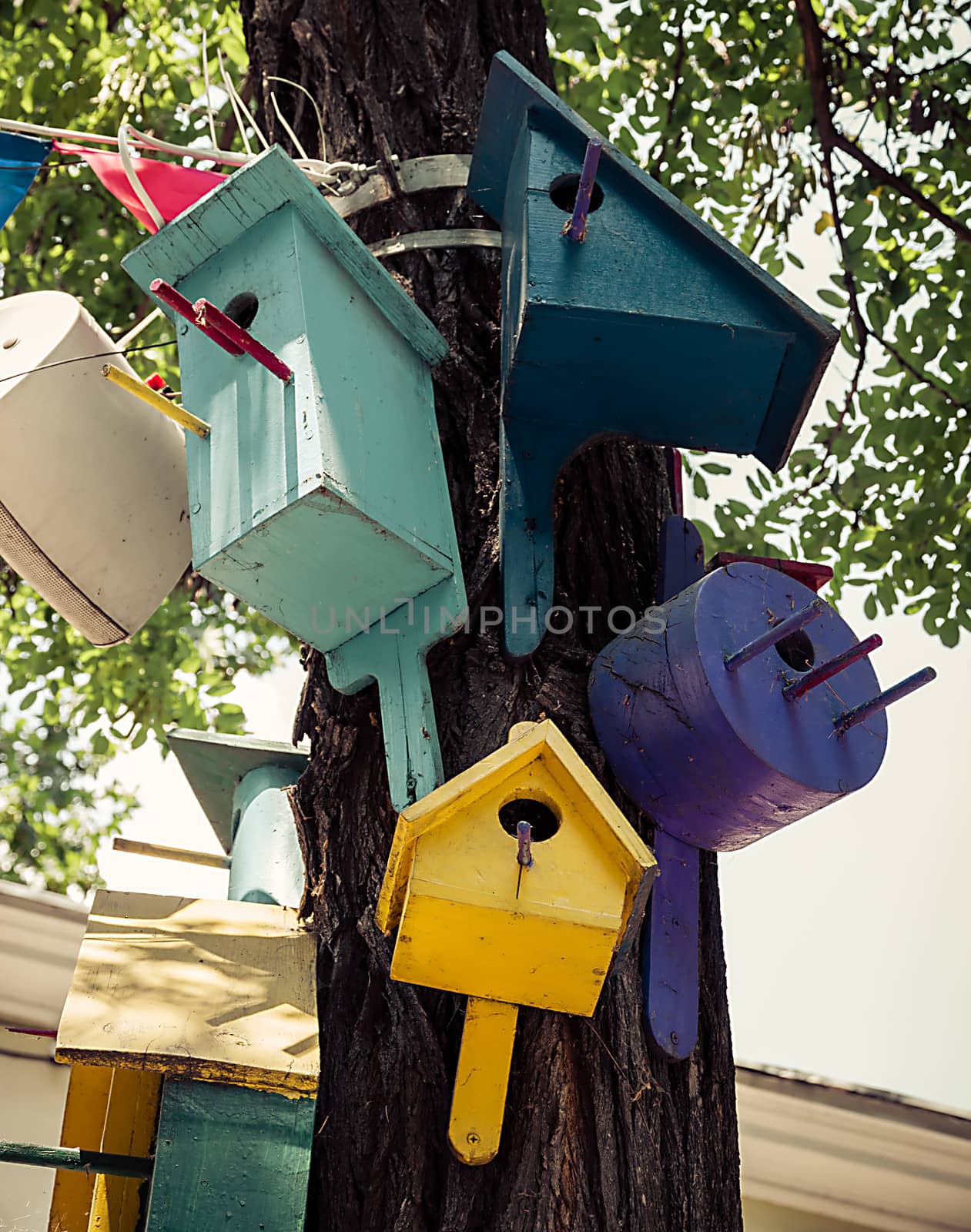 colorful nesting boxes on a tree