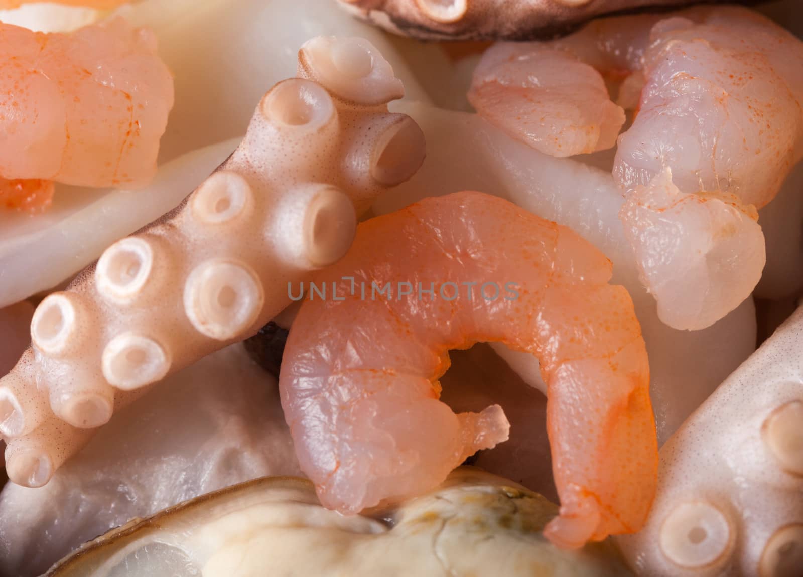 seafood salad with squid prawn octopus