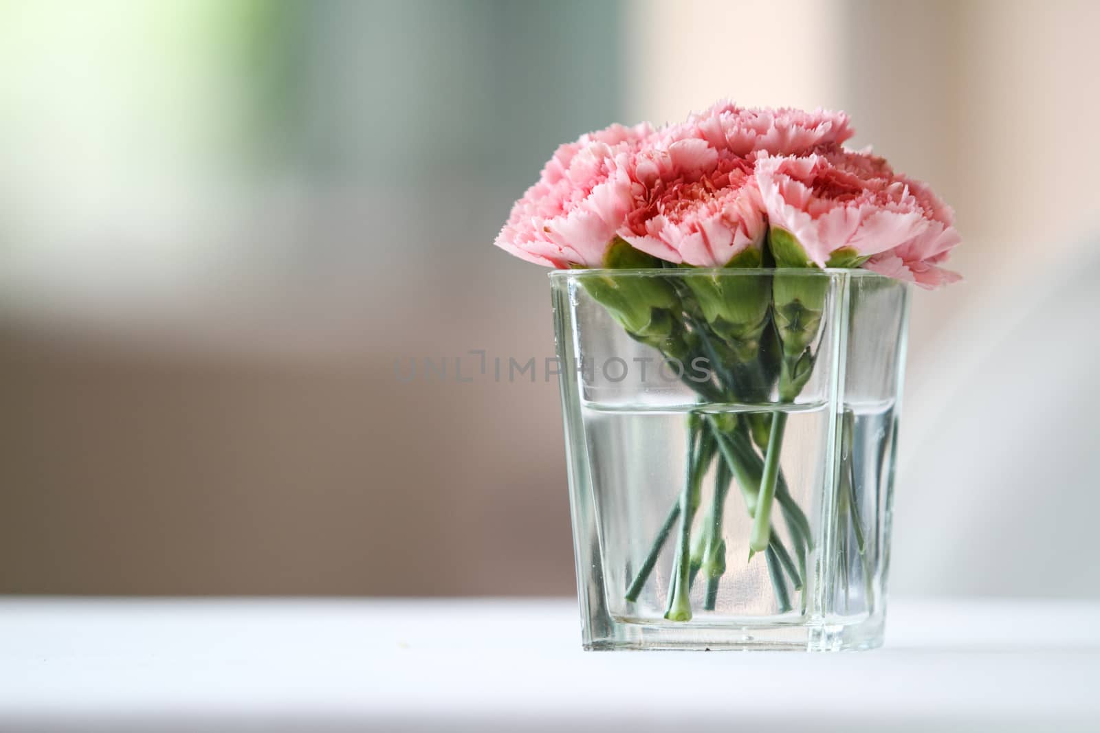 Bouquet of carnation flowers in glass vase