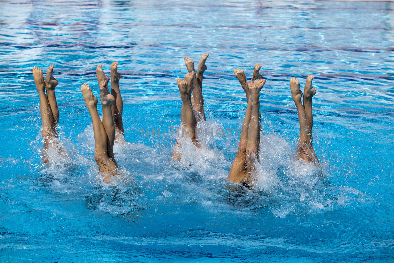 Synchronized swimmers by wellphoto