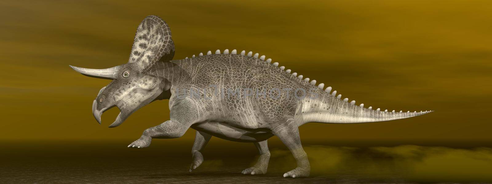 Zuniceratops dinosaur walking on the ground in brown background