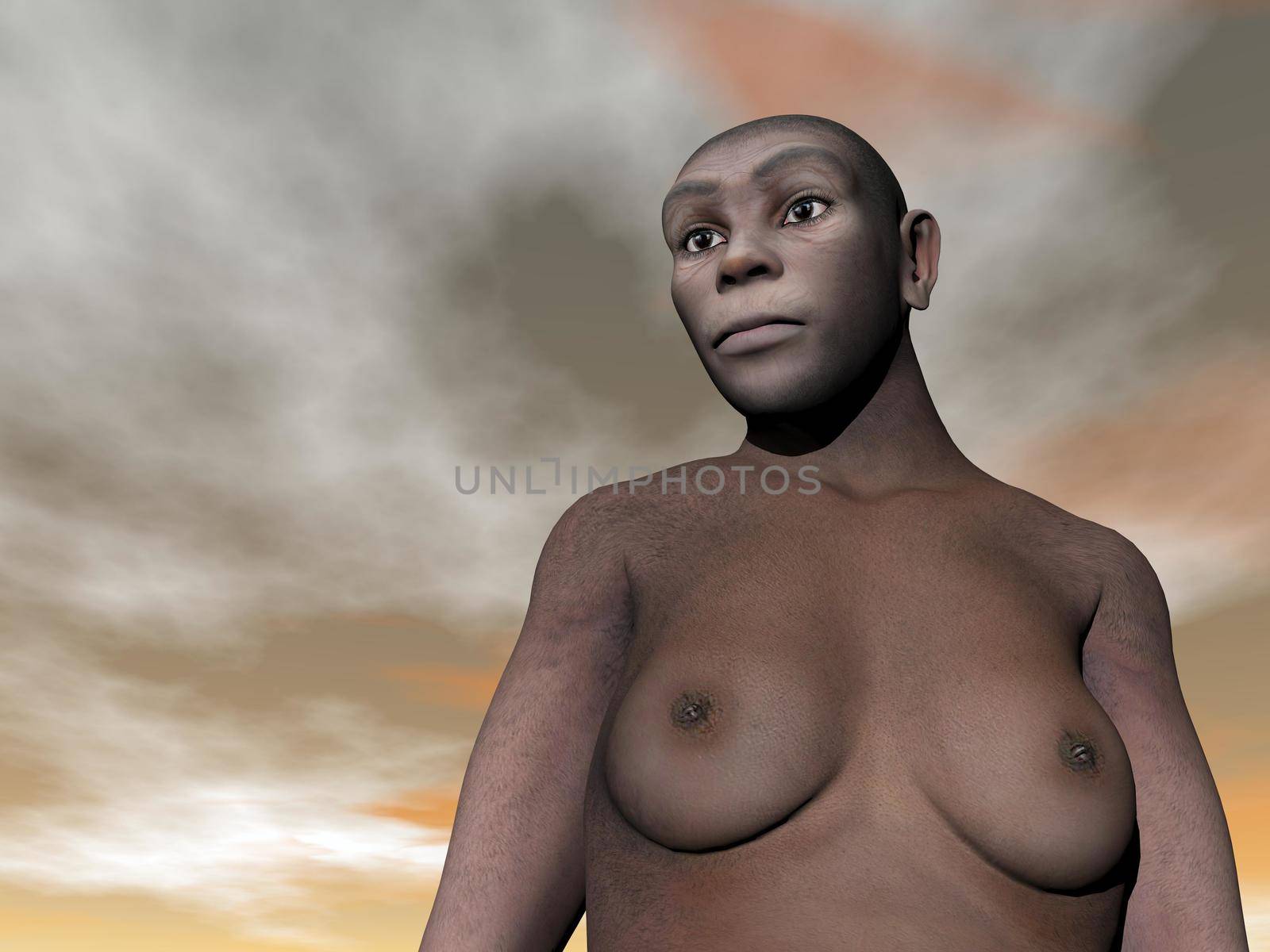 One female homo erectus bust in grey and brown cloudy day