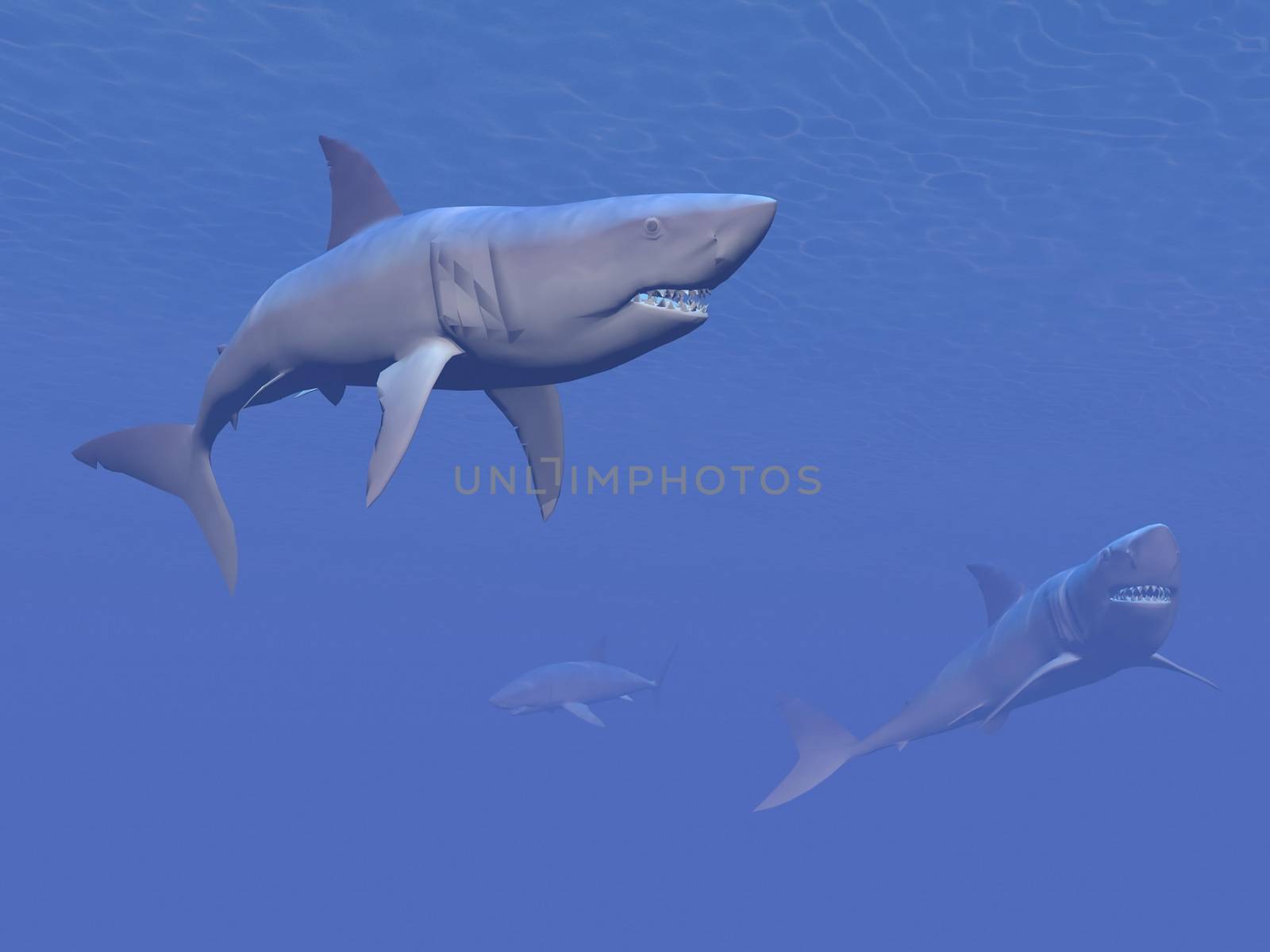 Three sharks swimming into deep blue underwater