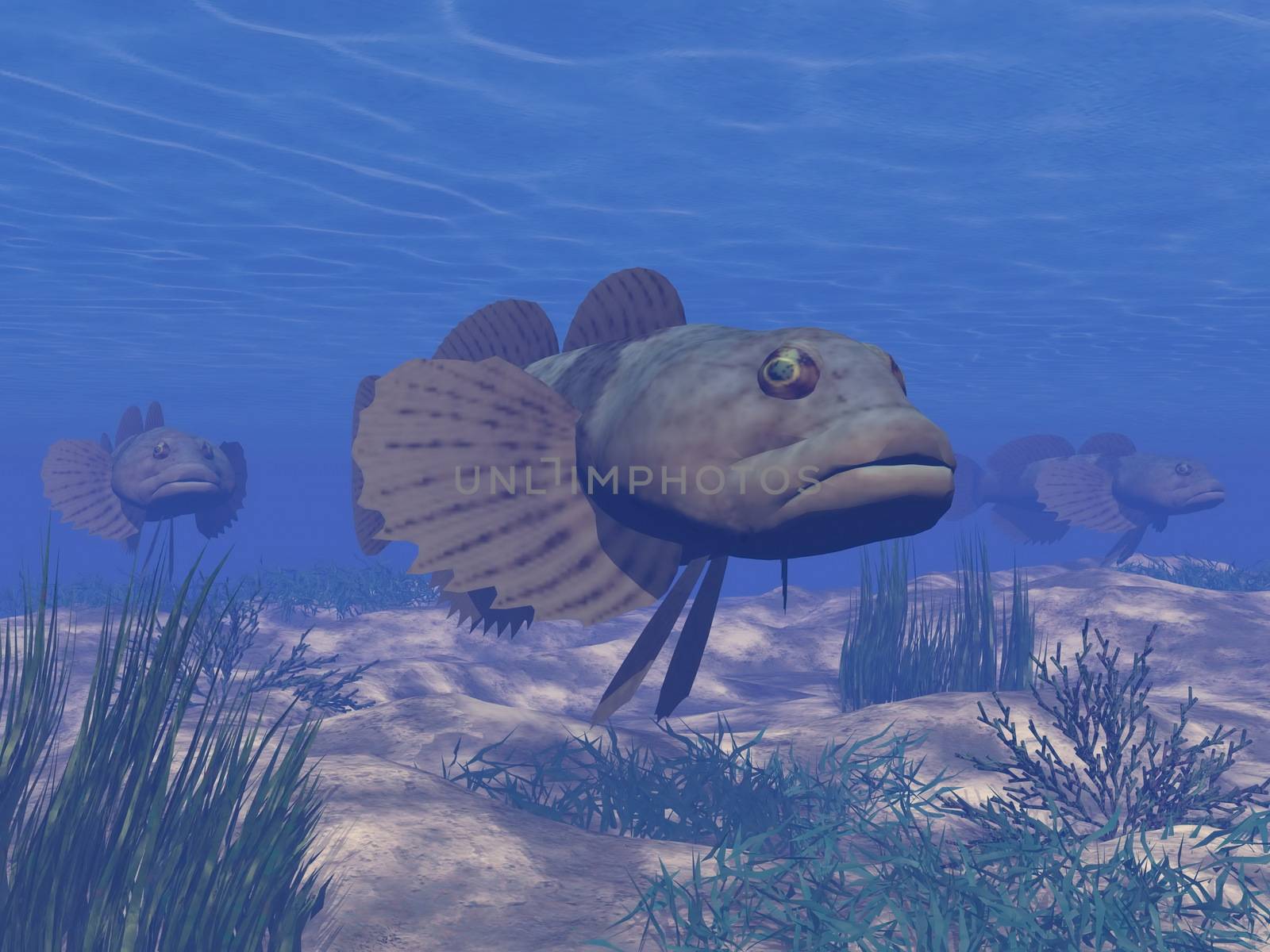 Three brown fishes in deep blue underwater