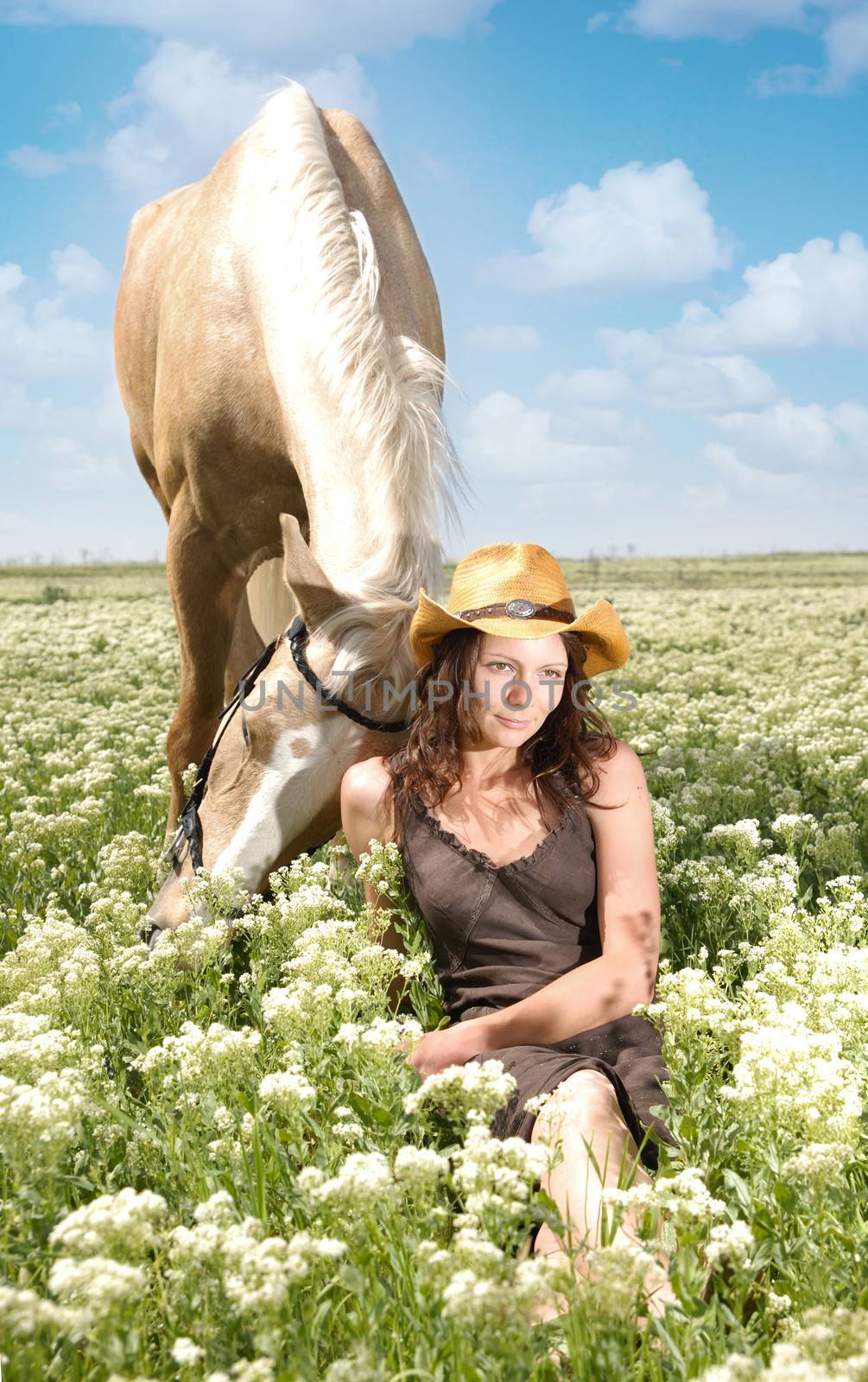 Tender relationship between the horse and lady sitting in the grass