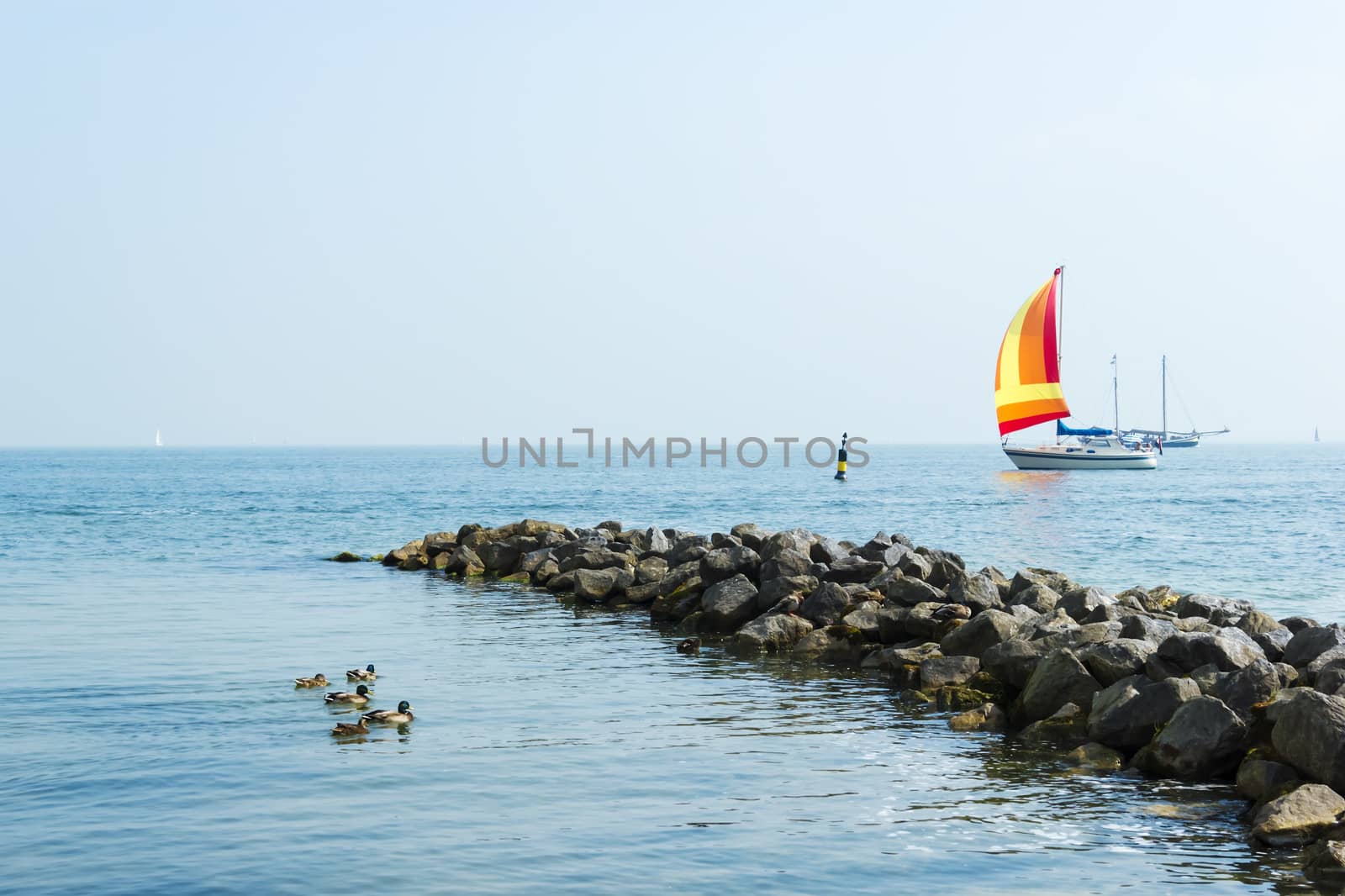 Seascape with sailboat the background of the blue sky.