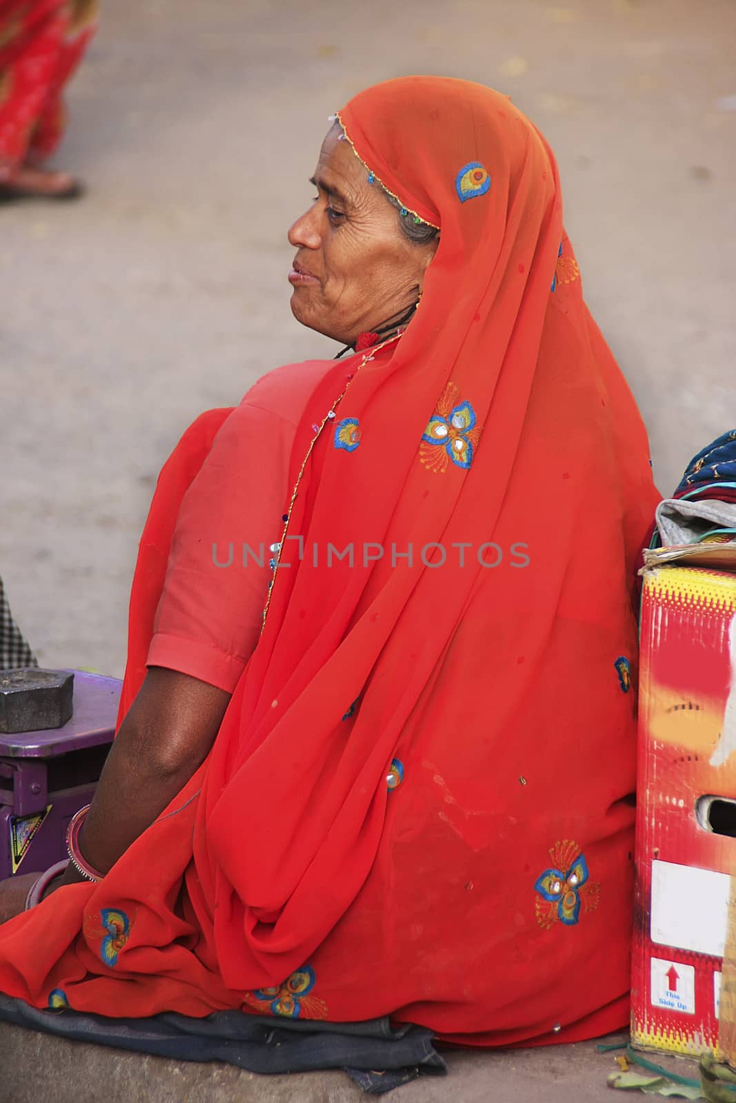 Indian woman sittingat the market, Old town of Bundi, India by donya_nedomam
