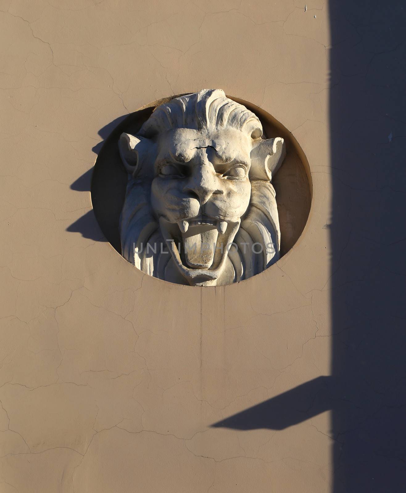 bas-relief of a lion