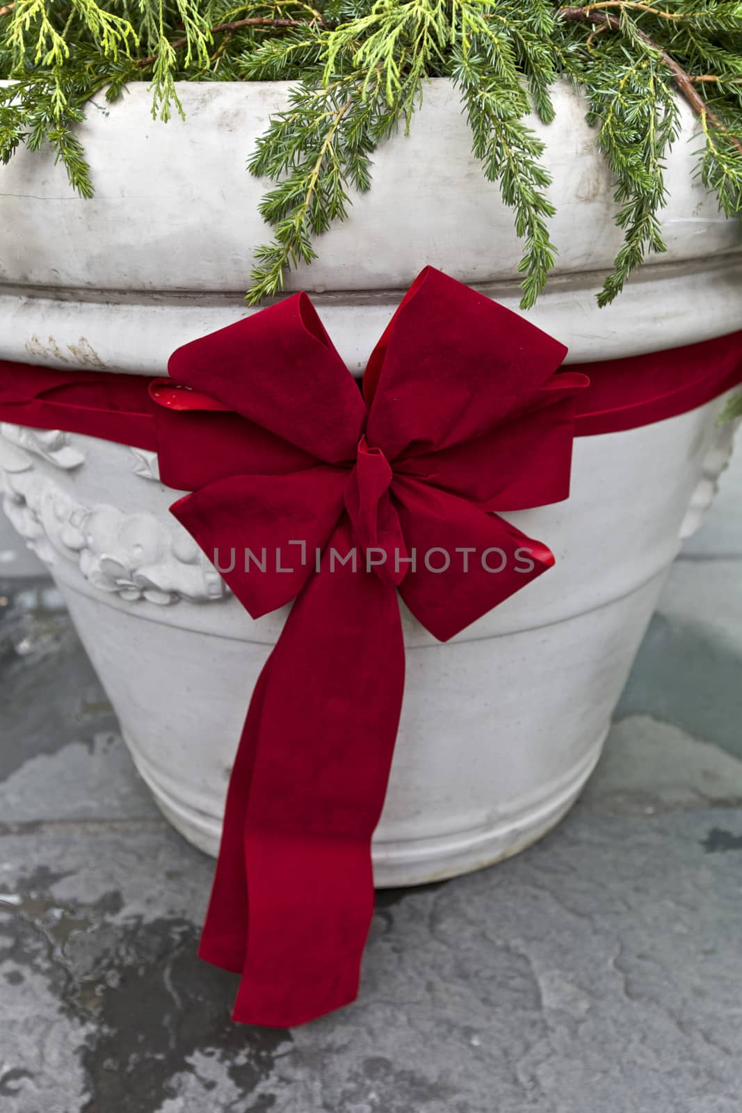 Christmas bow on a pot in New York City