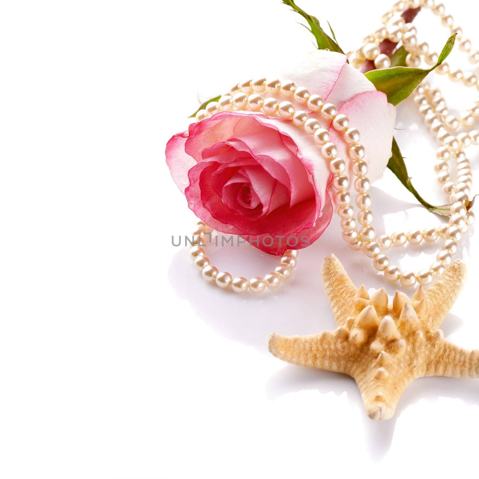 Pink rose with a pearl beads and a starfish. by Azaliya