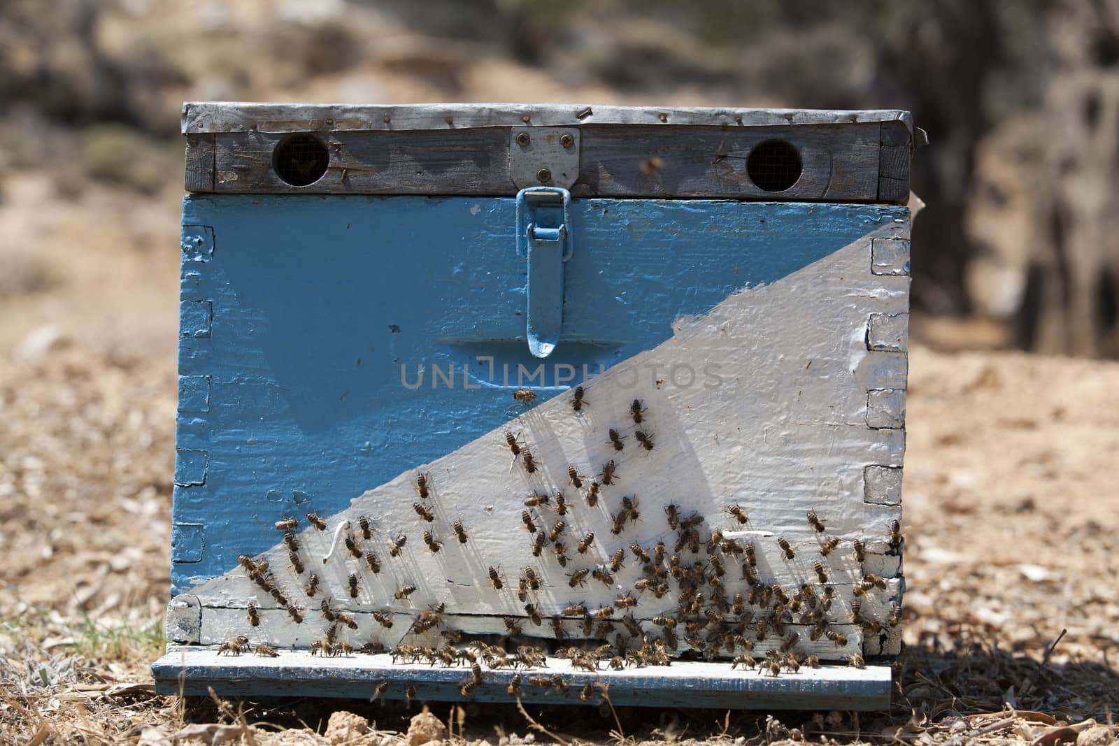 Blue and white beehive