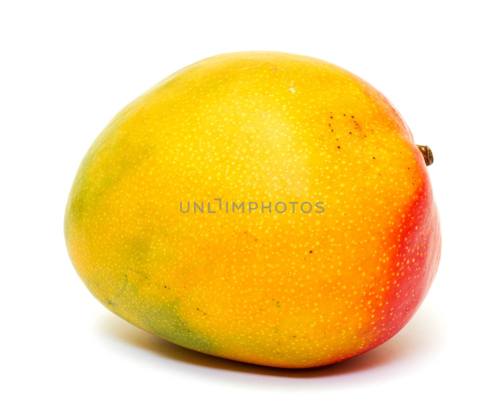 Ripe mango isolated  on white background