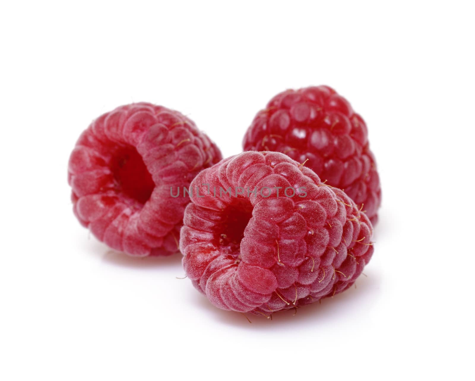 Fresh raspberry on white background