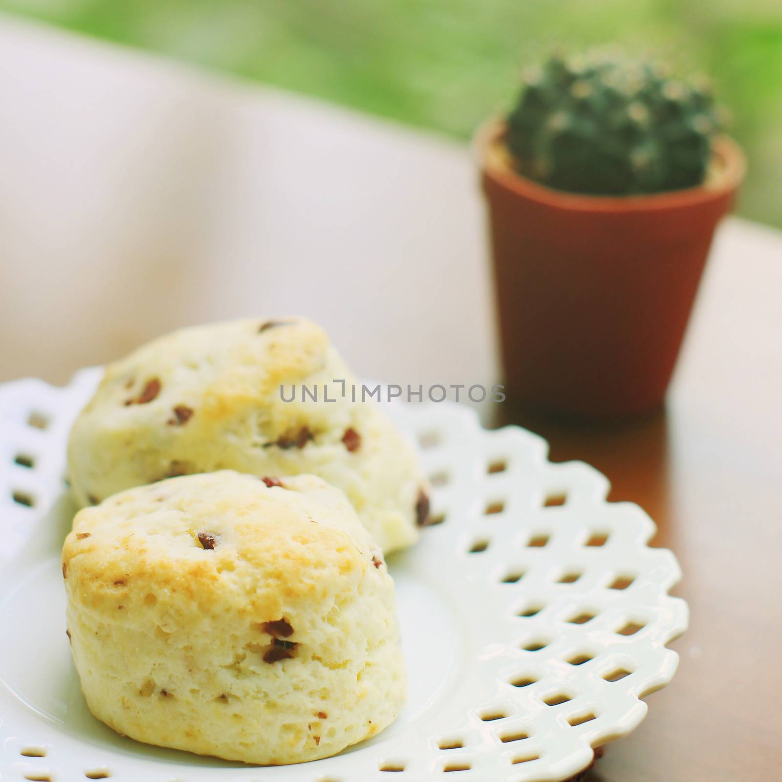 Homemade freshly baked scones with cactus, retro filter effect by nuchylee