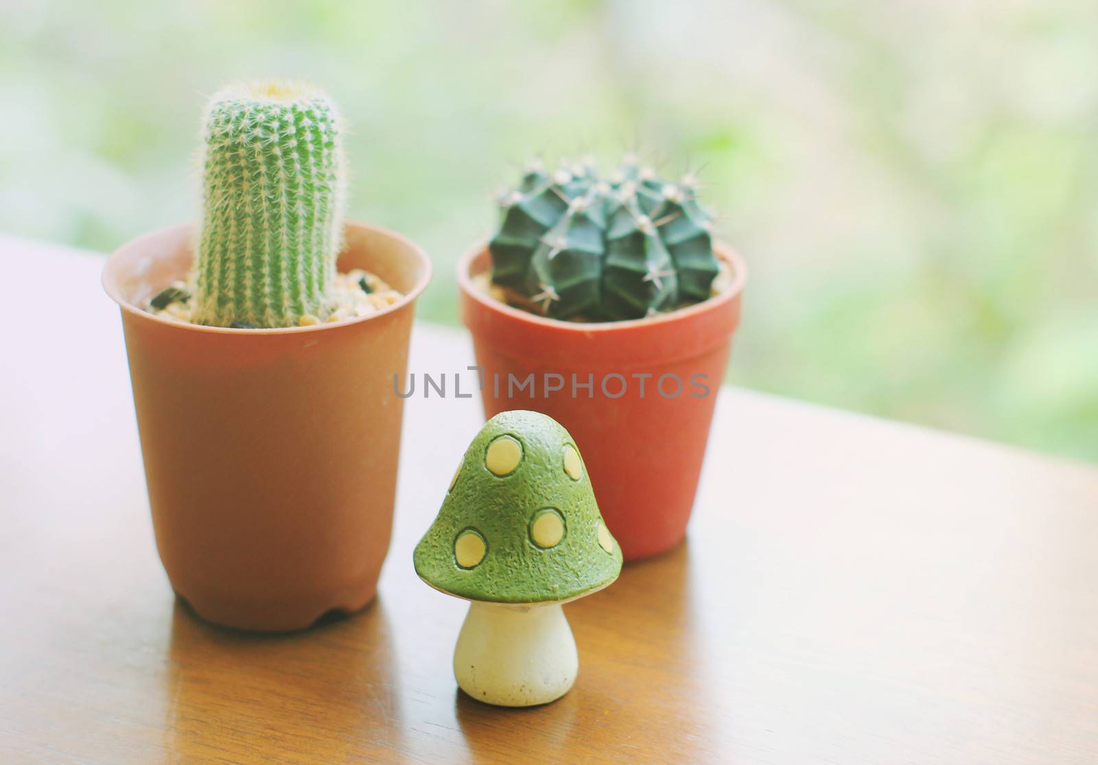 Cactus with small mushroom model for decorated, retro filter effect