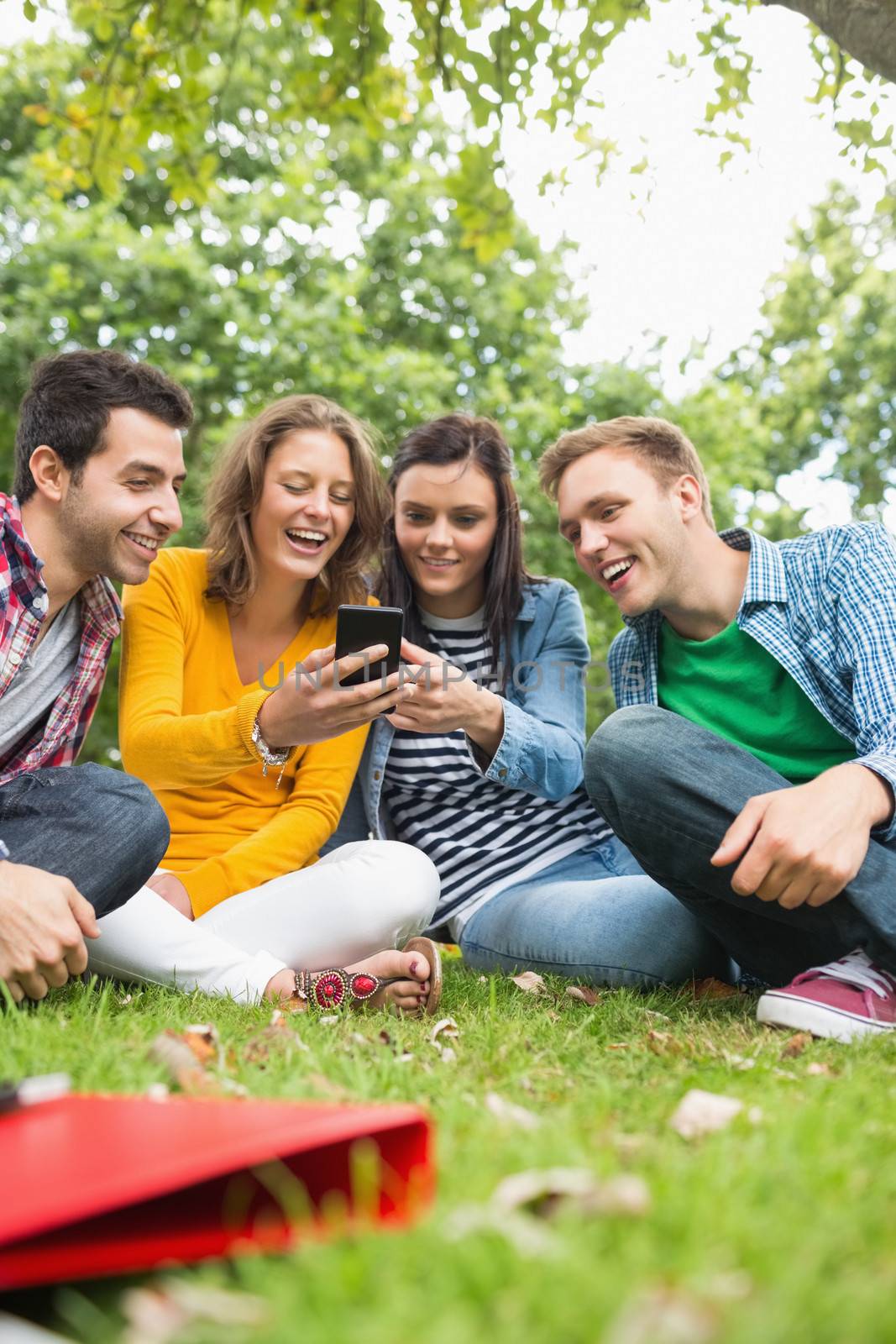 Group of happy young college students looking at mobile phone in the park