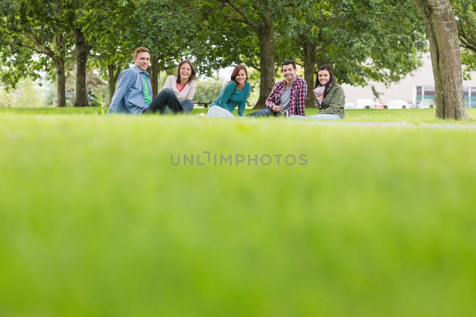Group portrait of young college students sitting on grass in the park