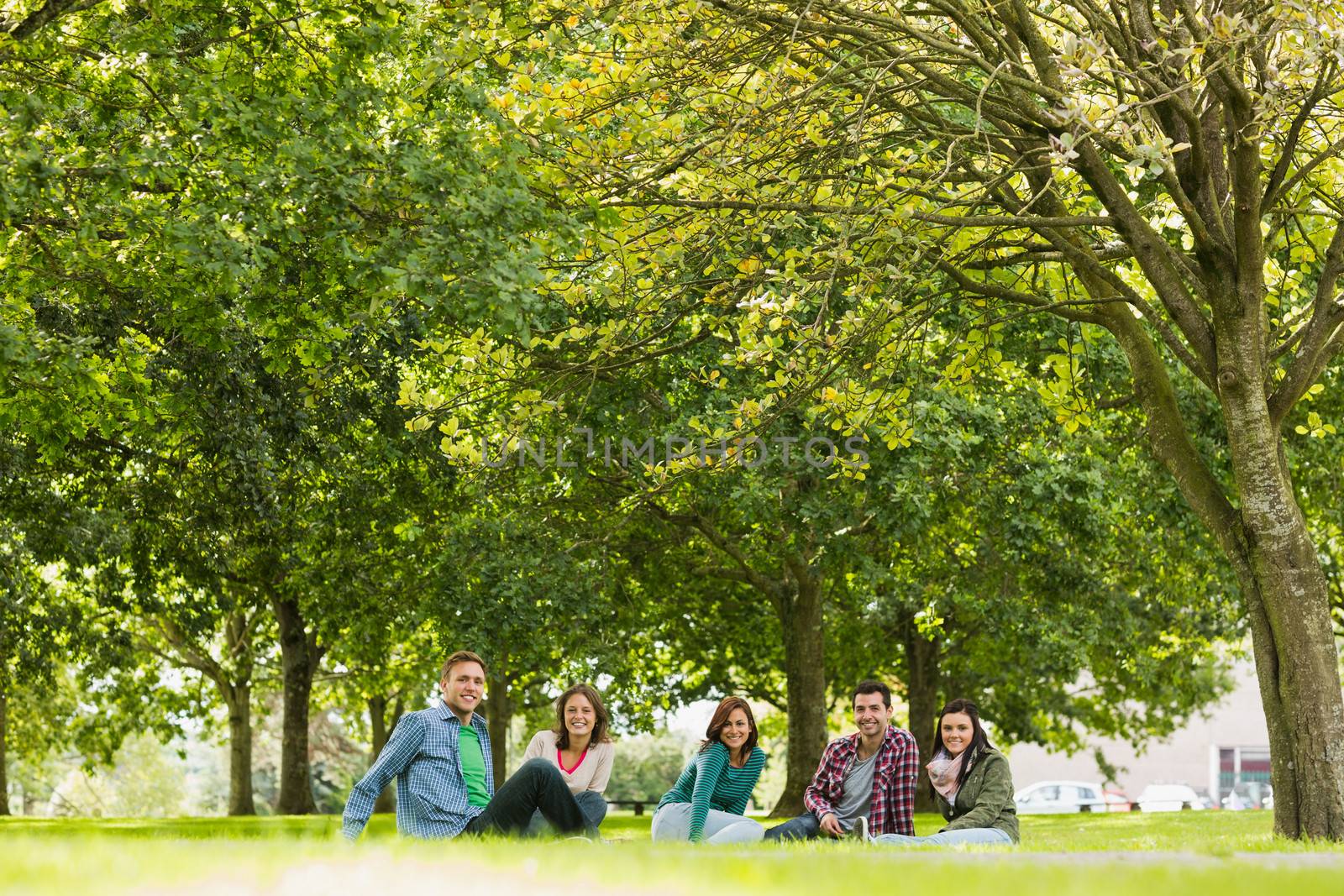 College students sitting on grass in park by Wavebreakmedia