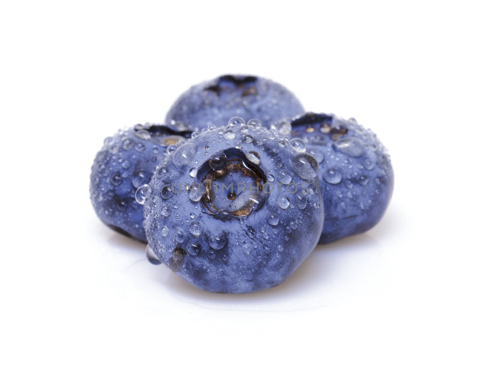 Fresh blueberry on white background