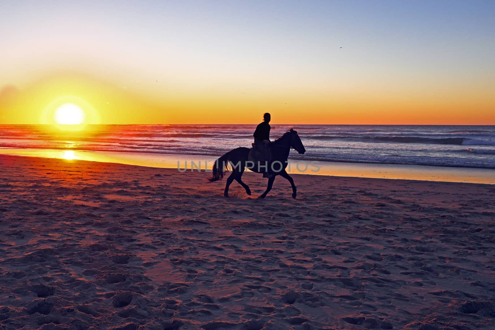 Horse riding on the beach at sunset
