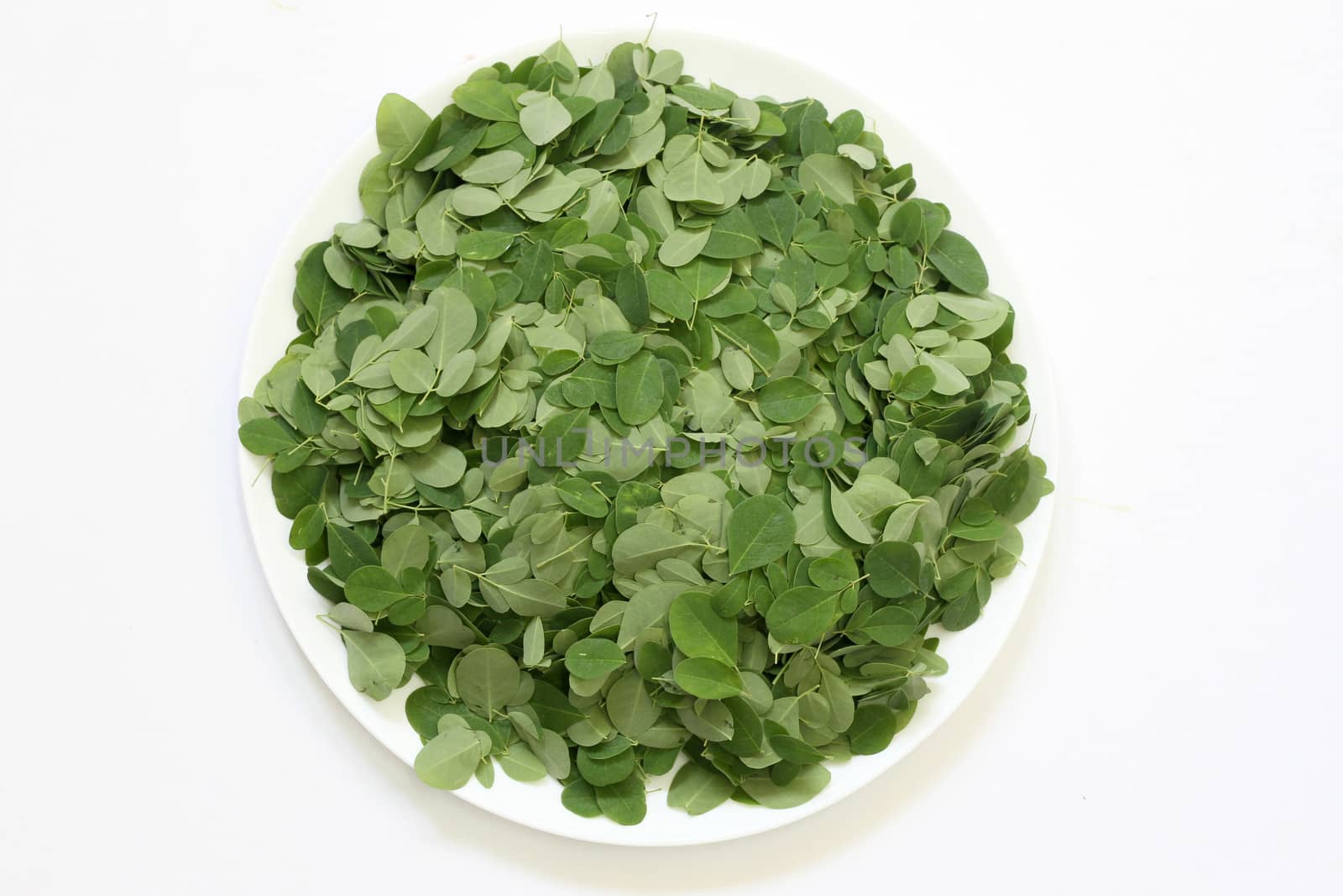 Moringa Oleifera leaves arranged in a plate with background