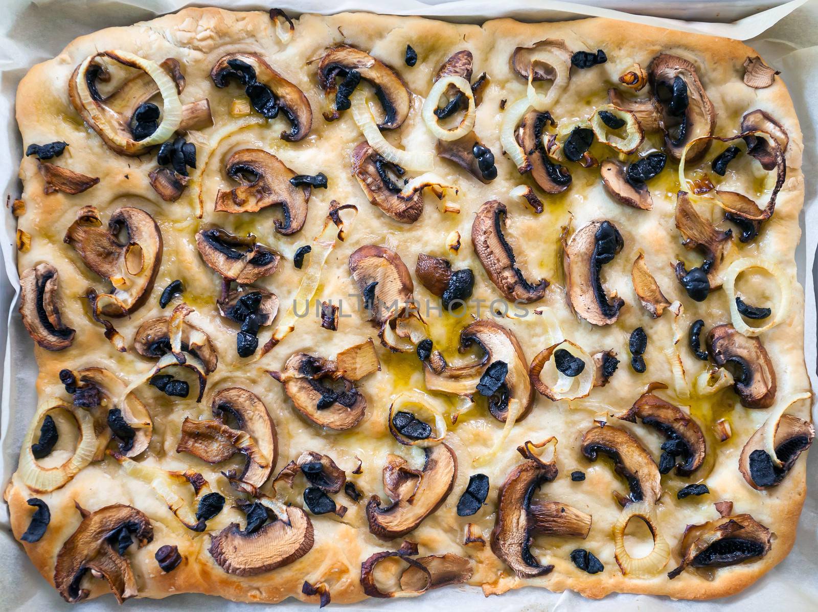 Focaccia homemade italian mushroom bread.