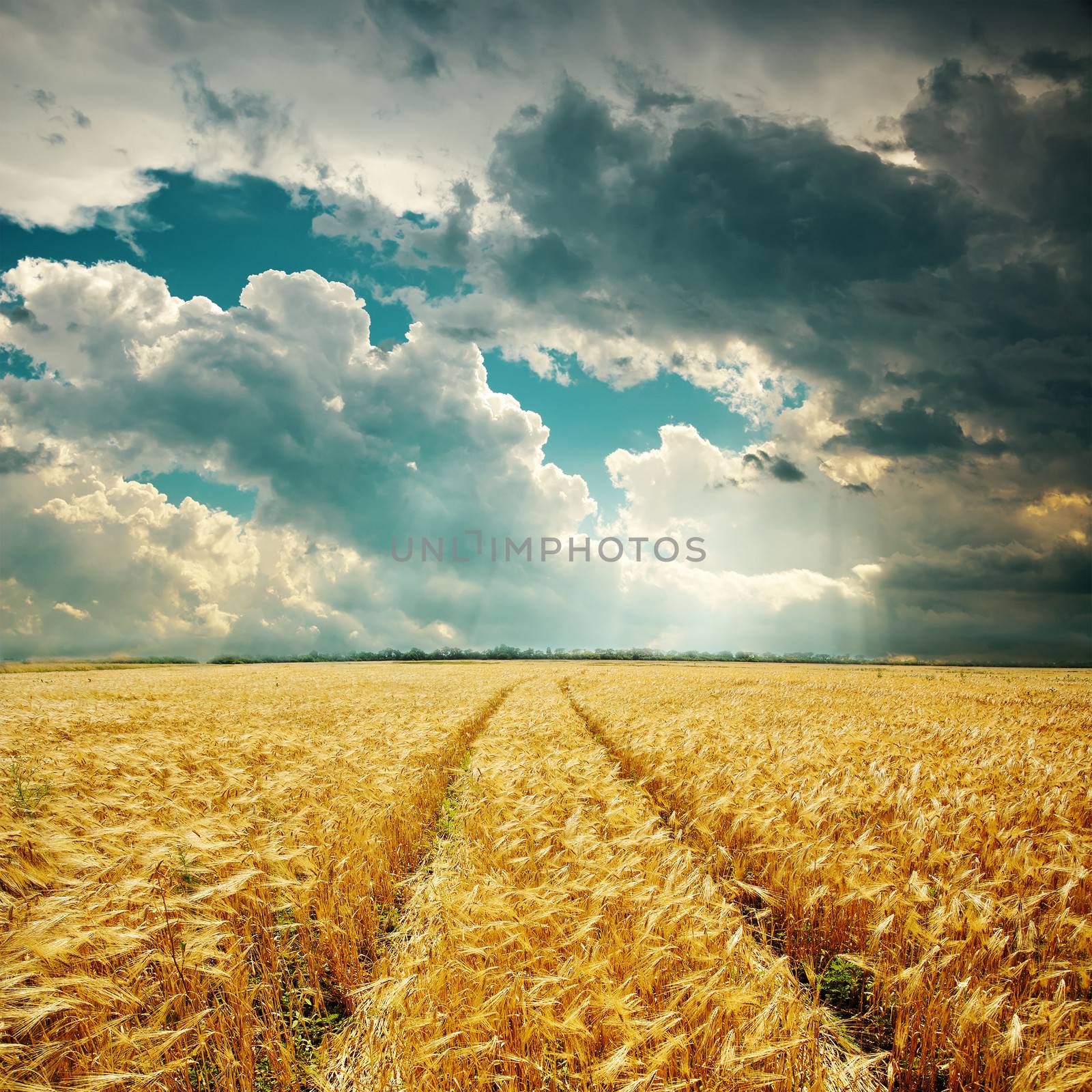 harvest field with track and low clouds over it