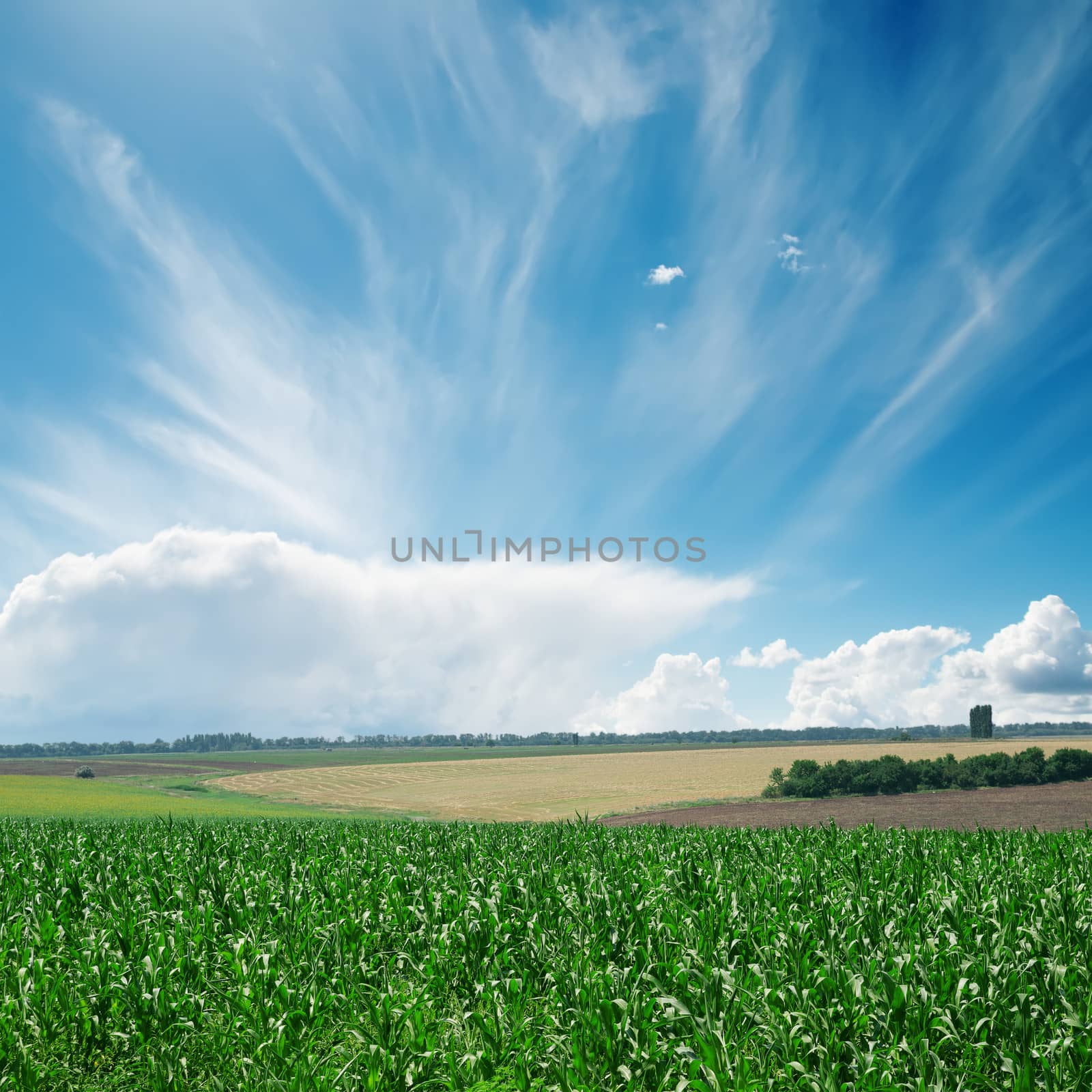 wind in clouds over green field