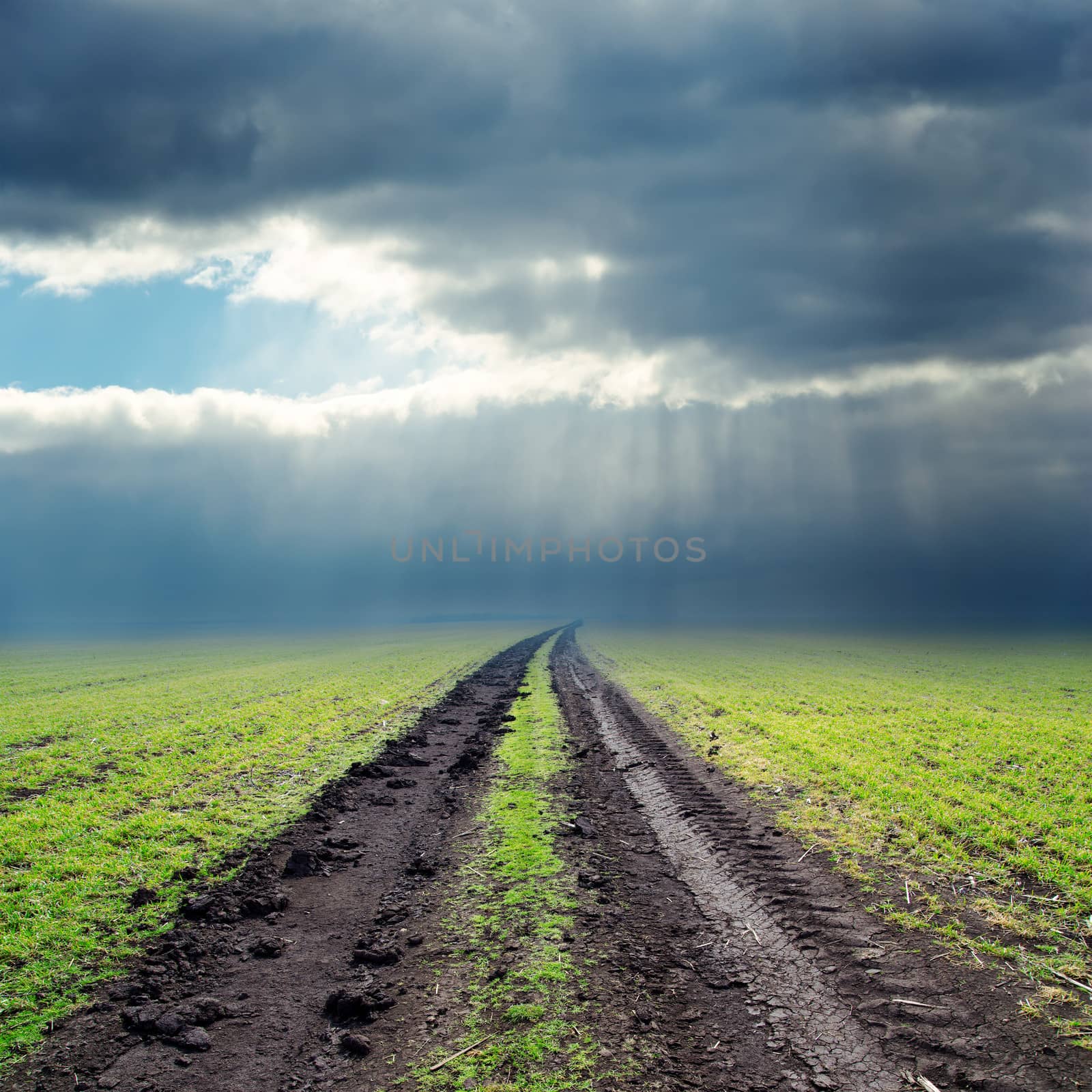 road in green field to low clouds in horizon