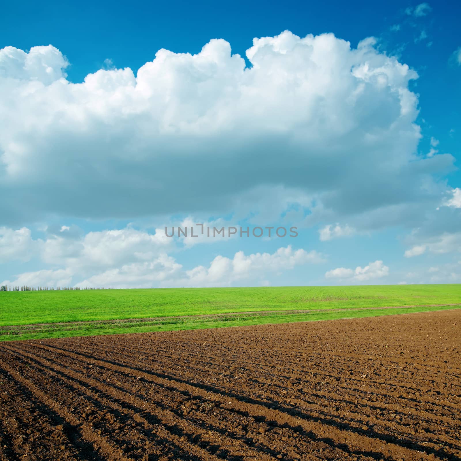 agriculrural fields and clouds over it