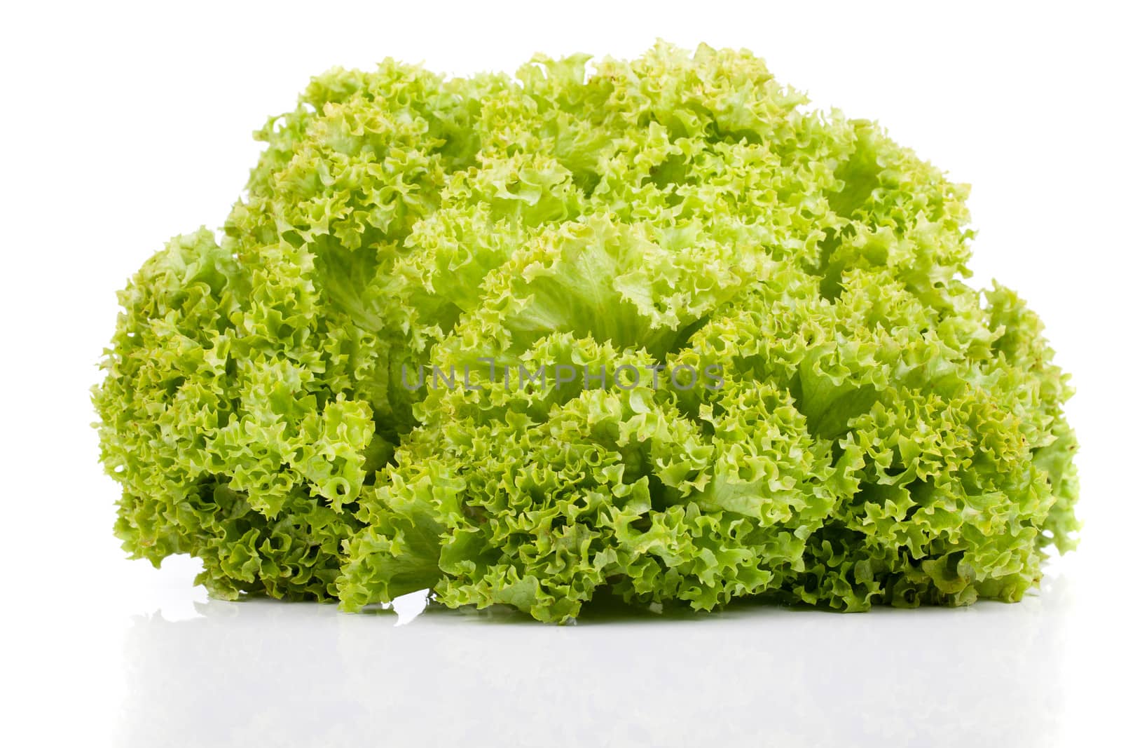 Fresh green Lettuce salad, isolated on white background
