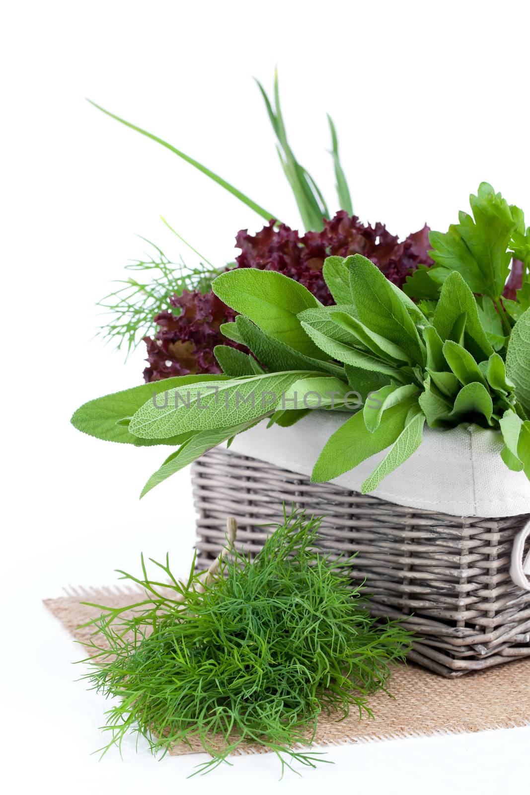 green herbs in braided basket isolated on white background by motorolka