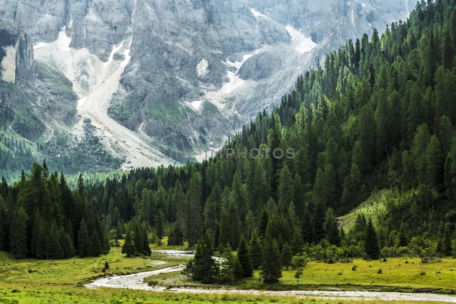 Forest and river in the valley, Dolomiti - Italy by Mdc1970